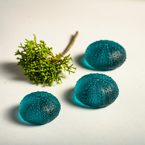 Sea Urchin - Kina | Jade | Hand Cast Glass