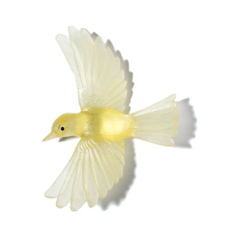 Mōhua / Yellowhead | Glass Bird