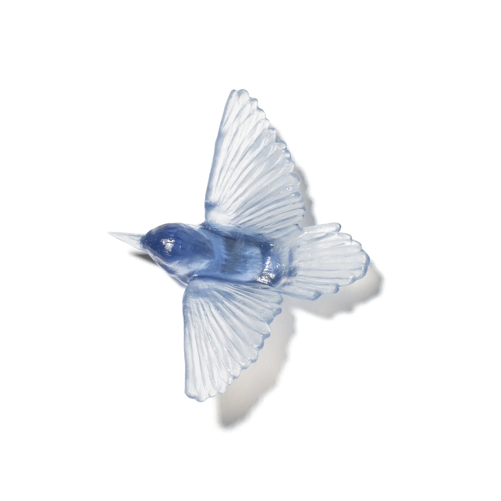 Miromiro / Tomtit | Glass Bird