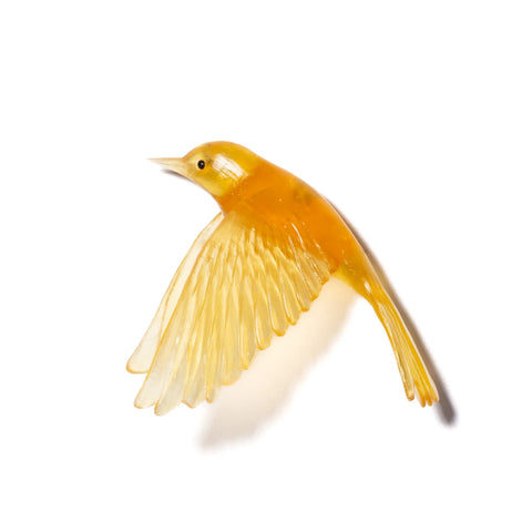 Pōpokotea / Whitehead | Glass Bird