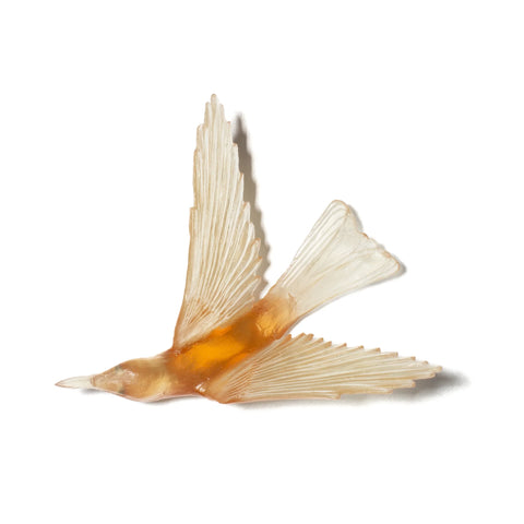 Korimako / Bellbird Wings Back | Glass Bird