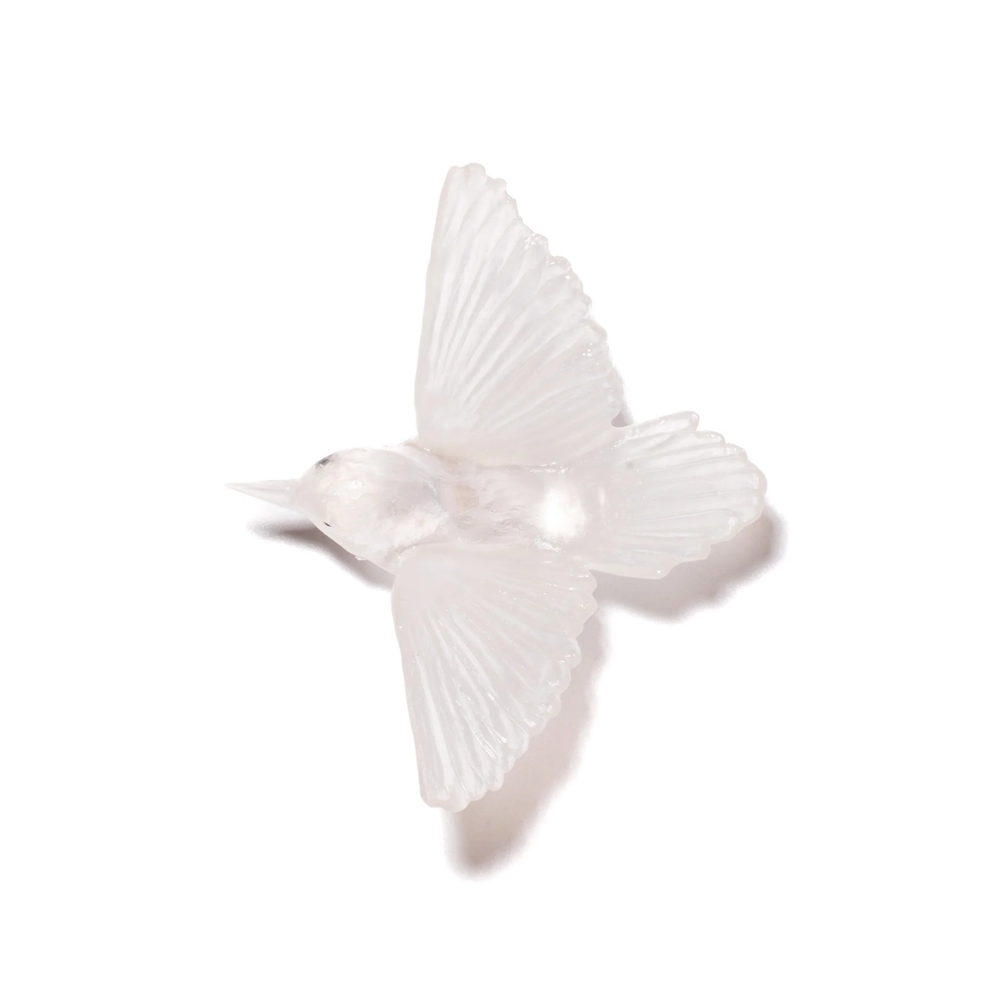Miromiro / Tomtit | Glass Bird