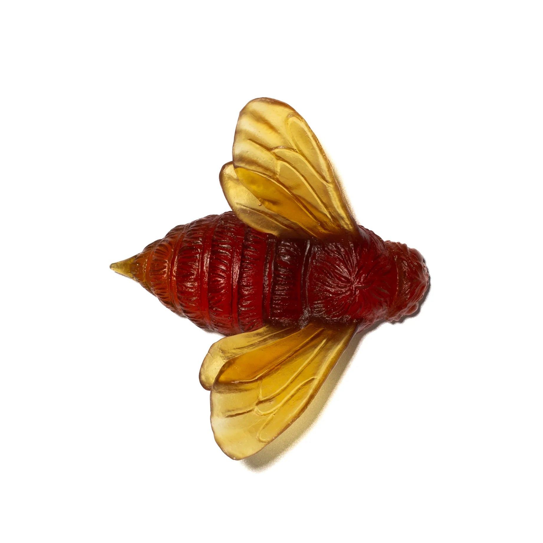 Bee Wings In | Glass