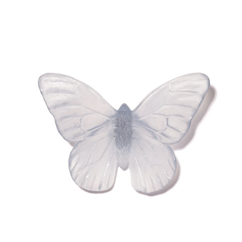 Monarch | Classic Mount Butterfly | Glass