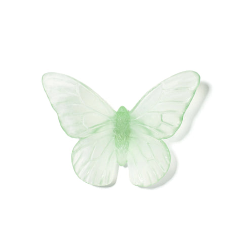 Monarch | Classic Mount Butterfly | Glass