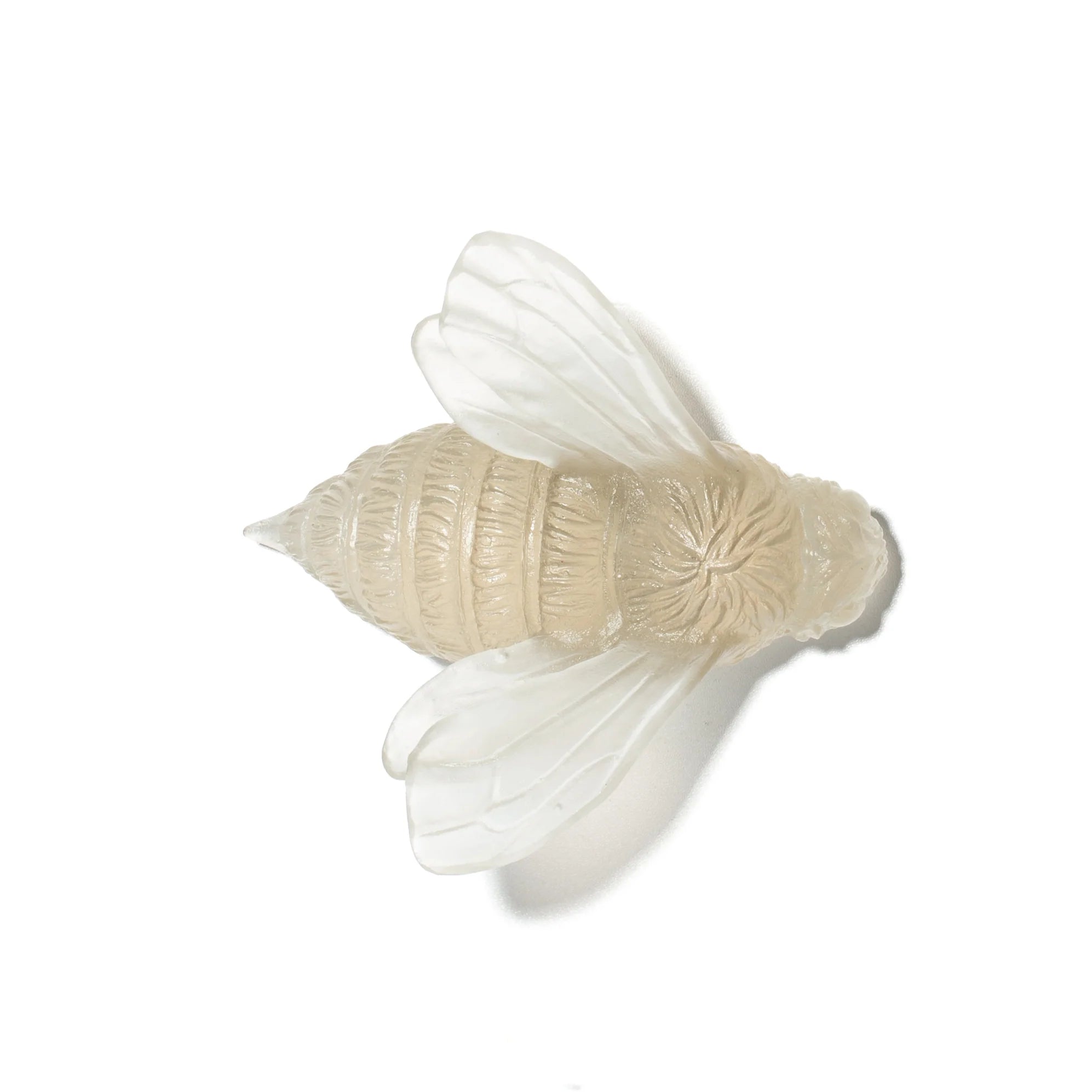 Bee Wings In | Glass