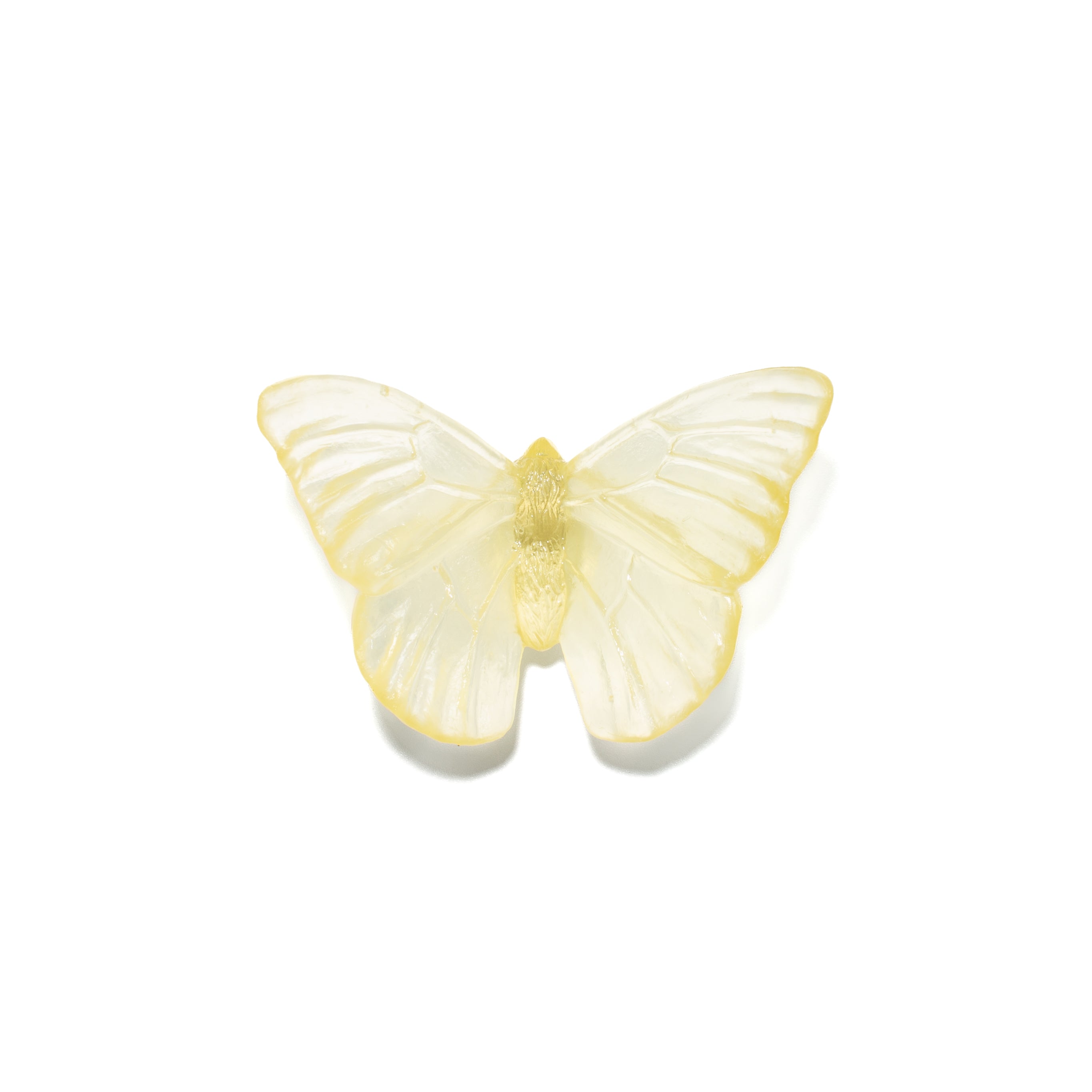 Admiral | Classic Mount Butterfly | Glass