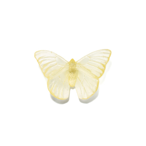 Admiral | Classic Mount Butterfly | Glass