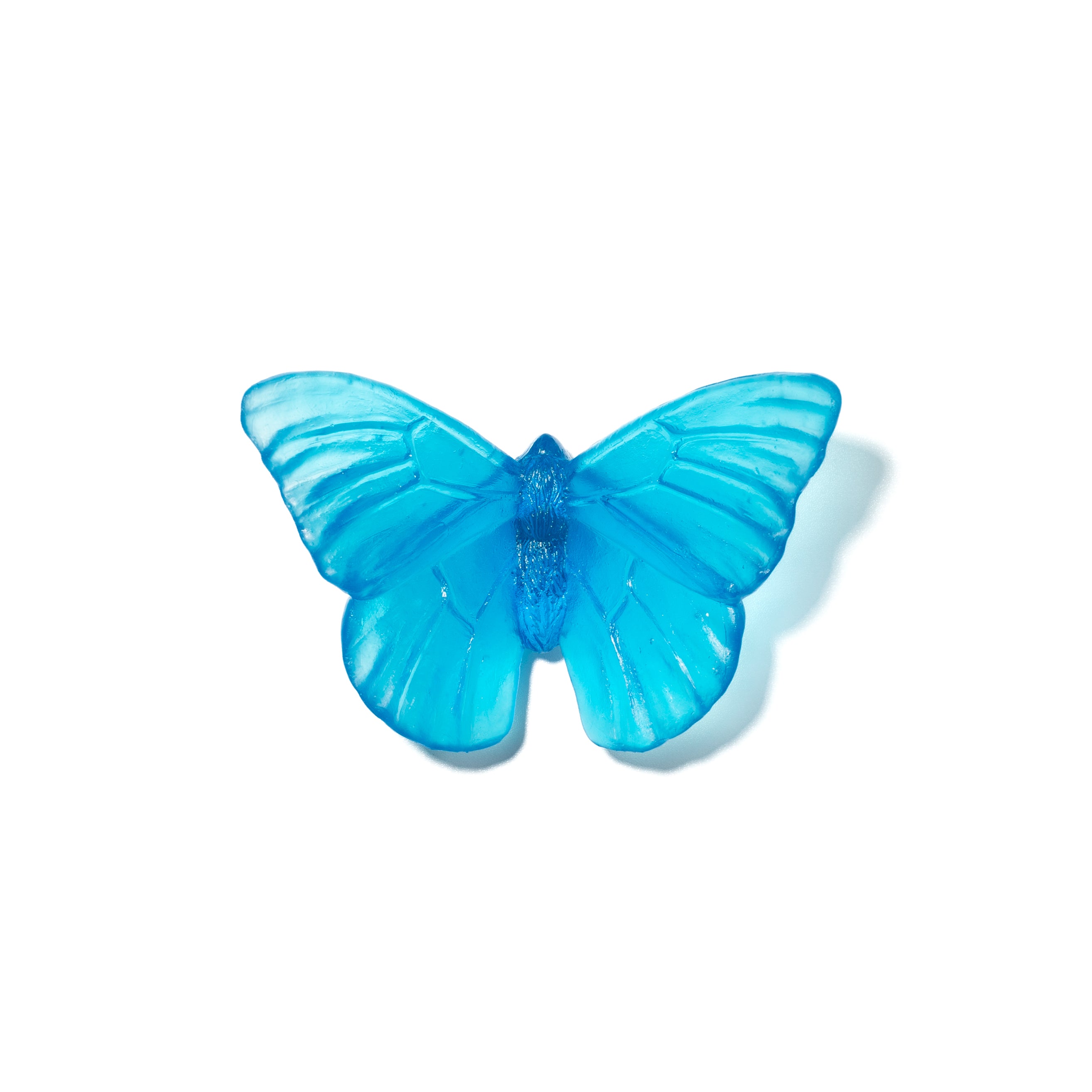 Admiral | Classic Mount Butterfly | Glass