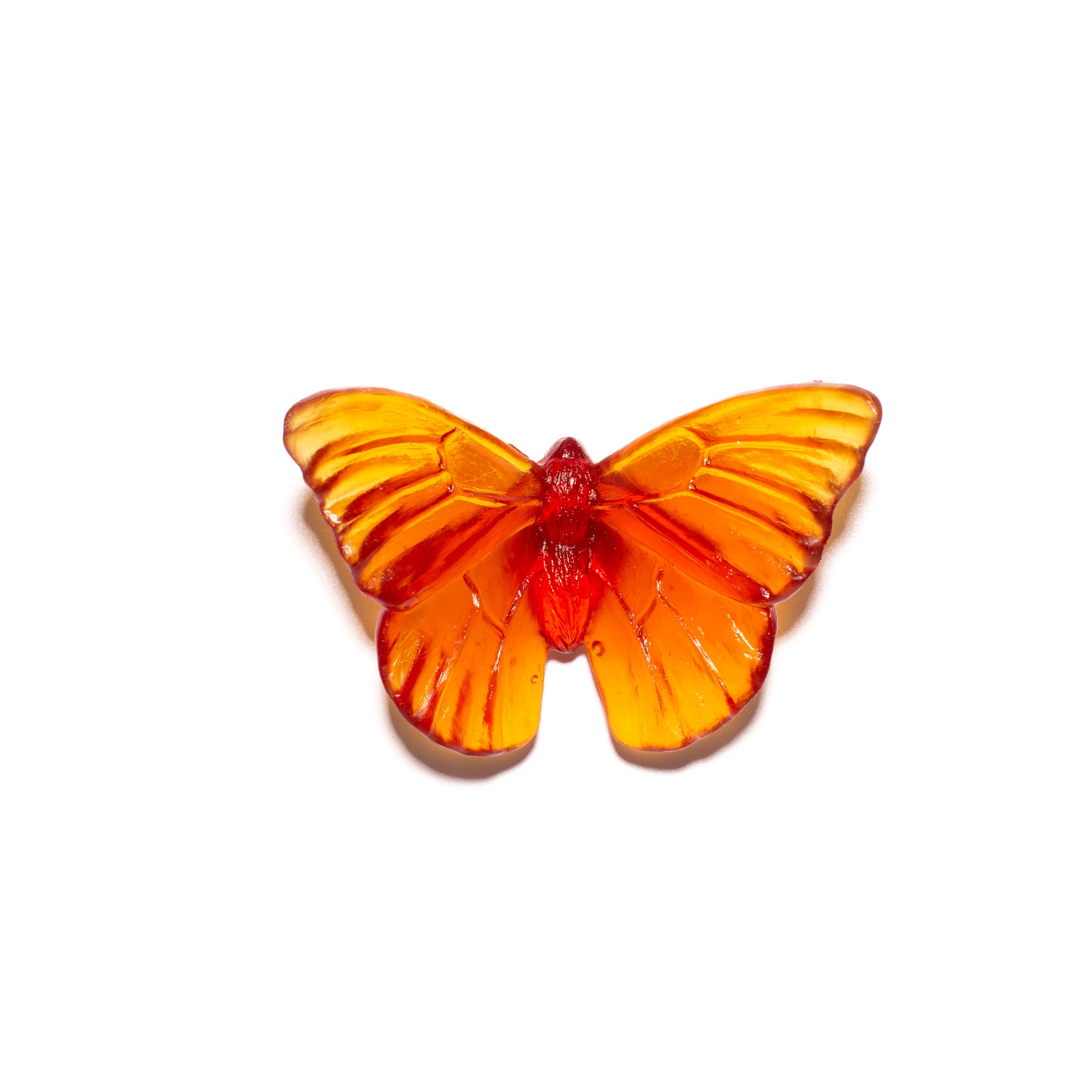 Admiral | Classic Mount Butterfly | Glass