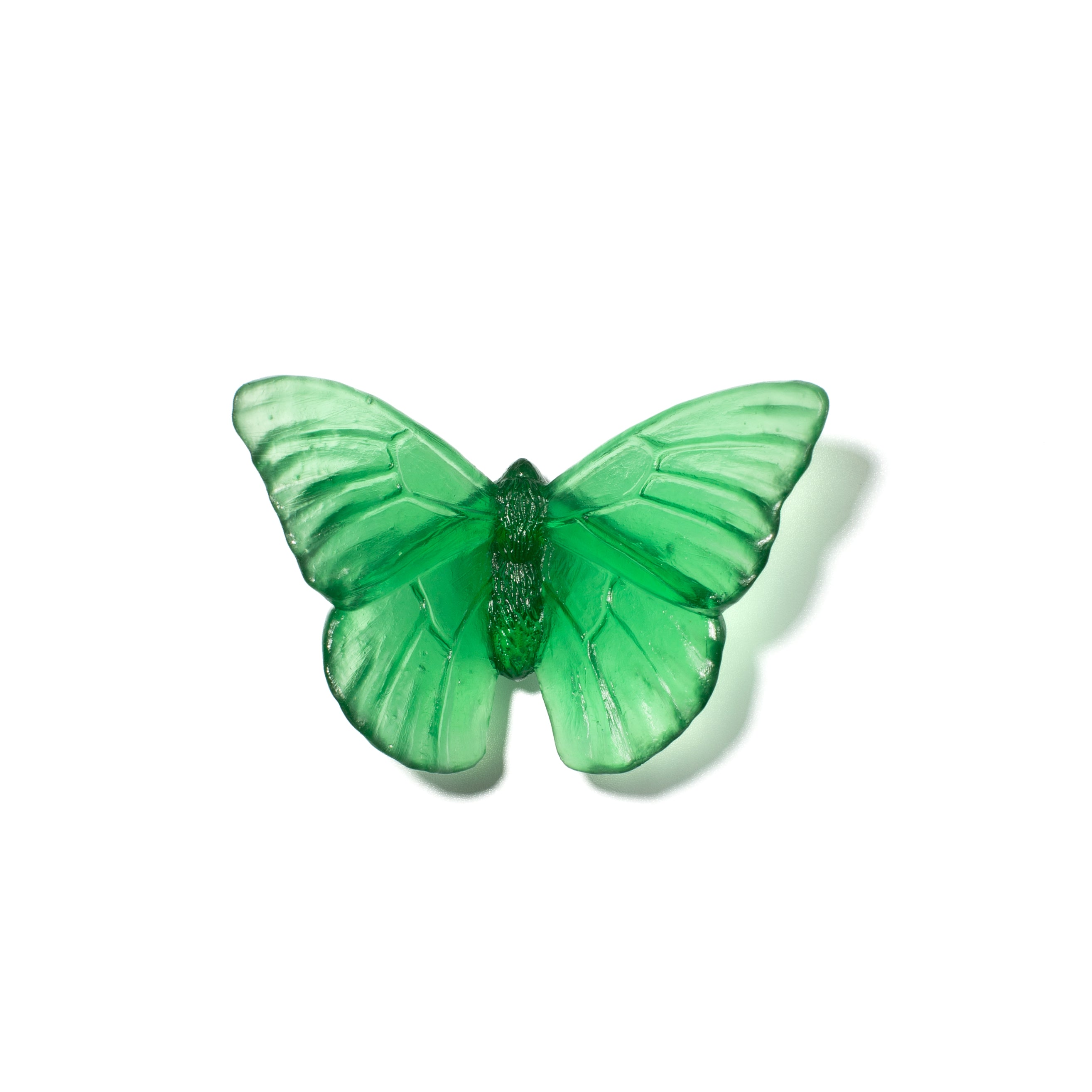 Admiral | Classic Mount Butterfly | Glass