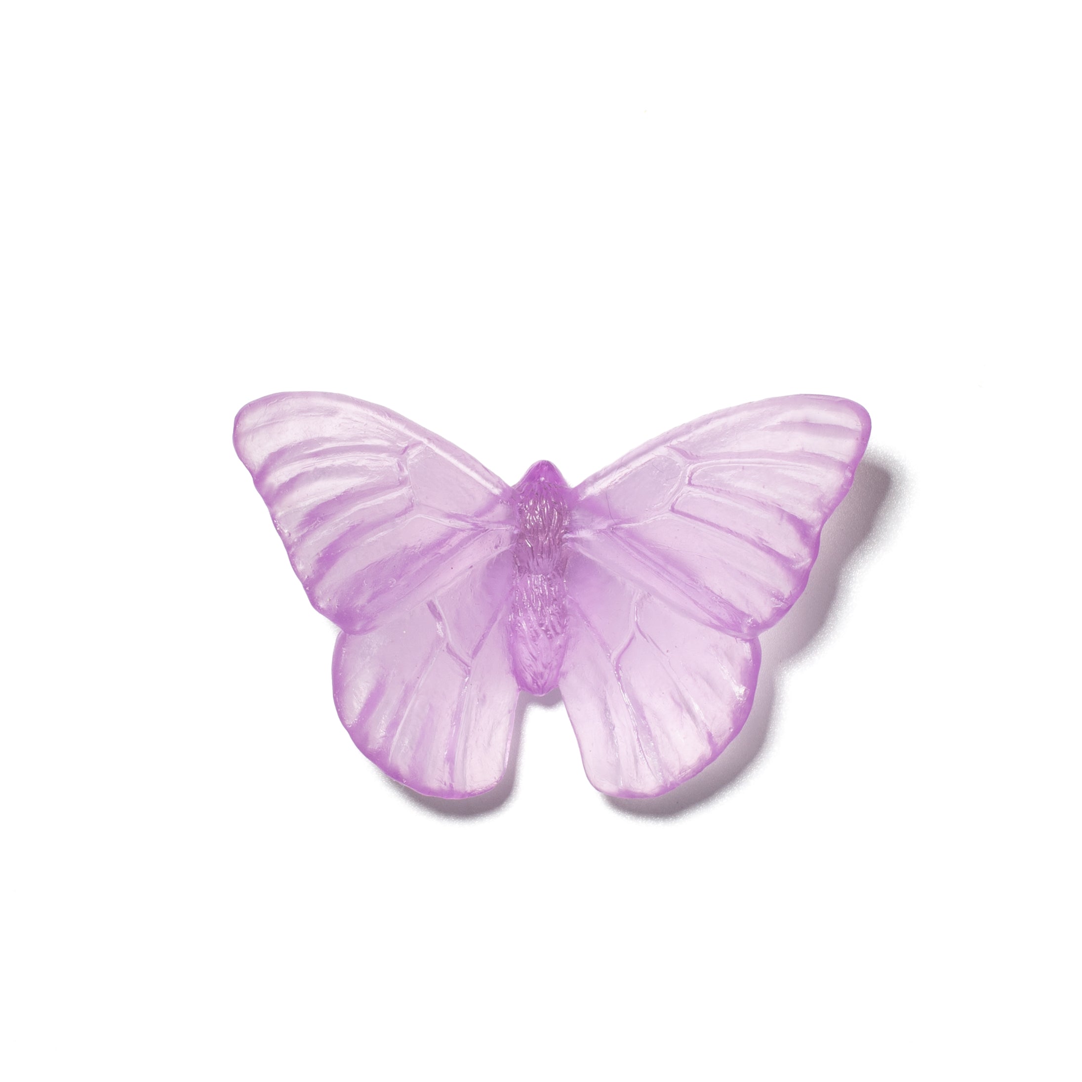 Admiral | Classic Mount Butterfly | Glass