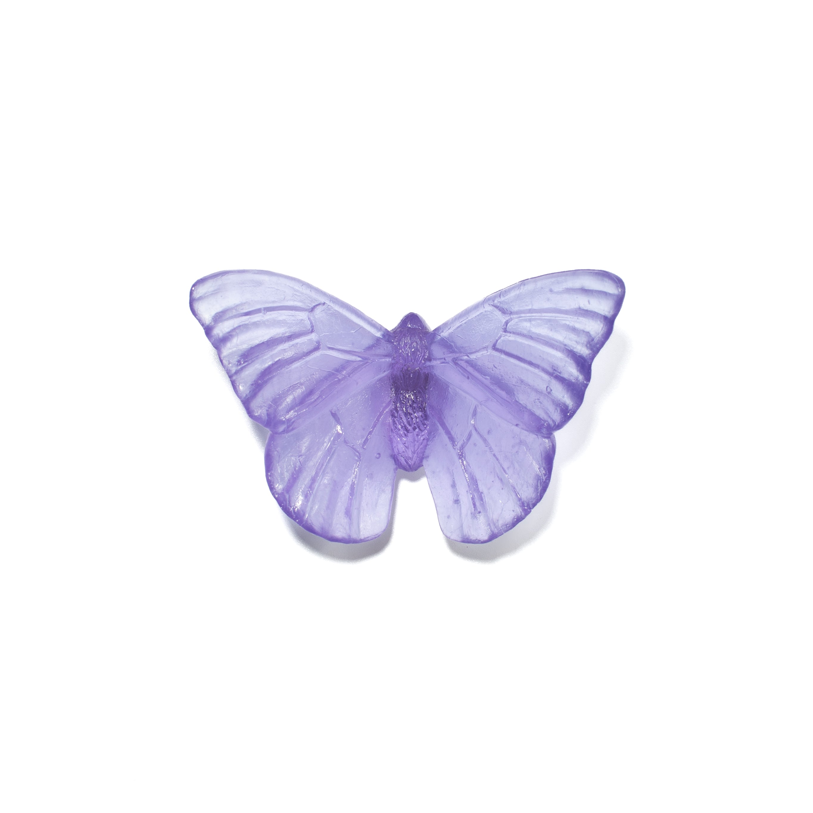 Admiral | Classic Mount Butterfly | Glass
