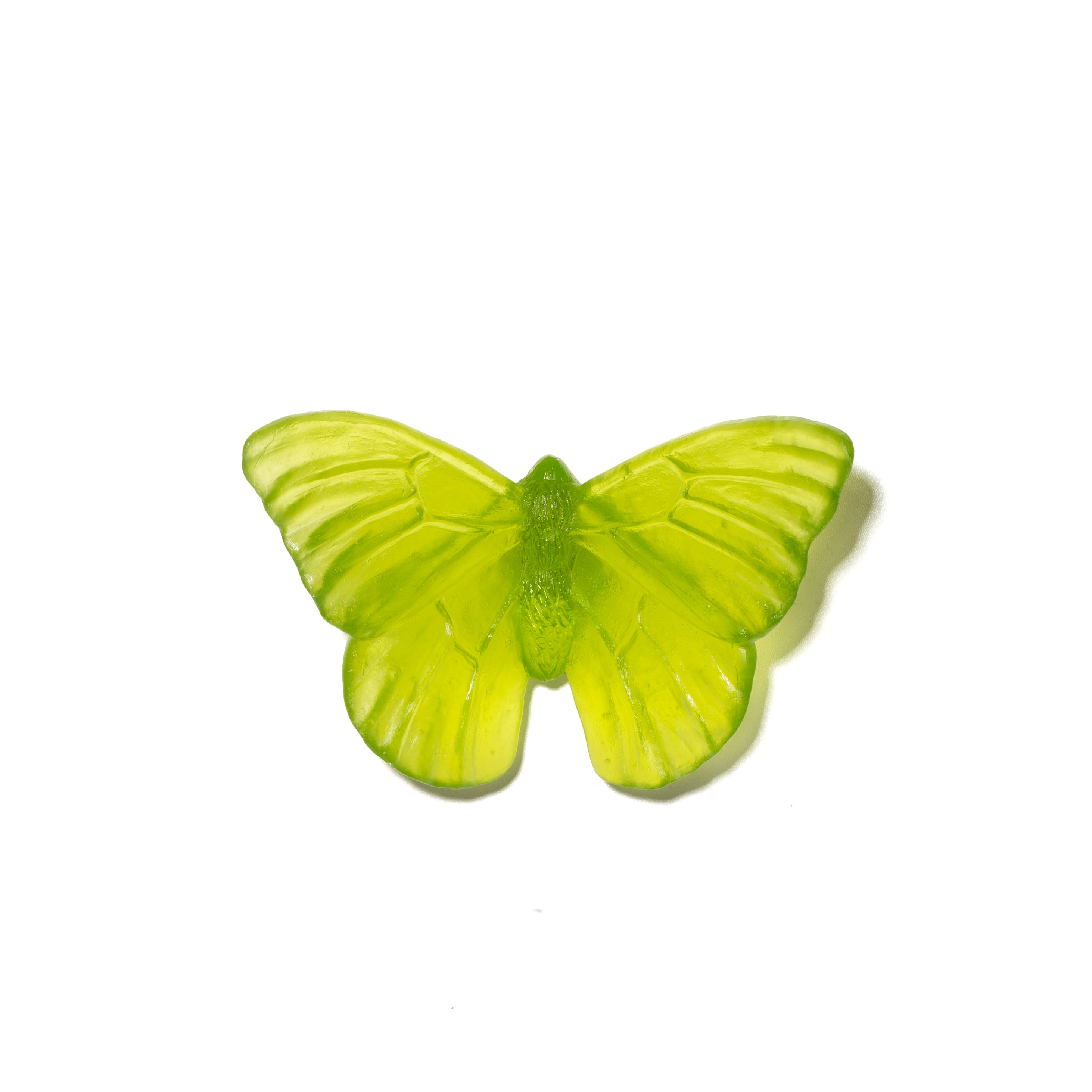 Admiral | Classic Mount Butterfly | Glass