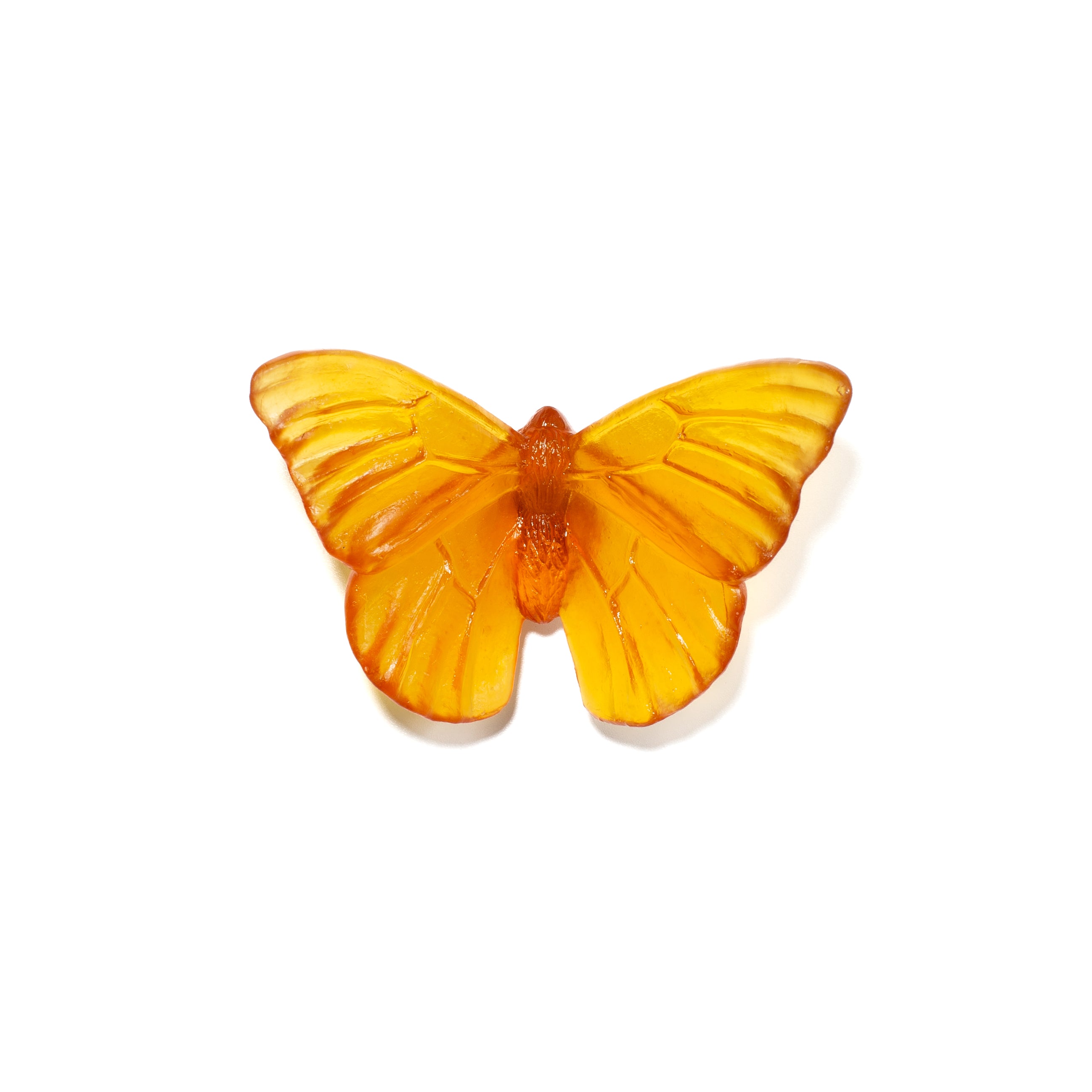 Admiral | Classic Mount Butterfly | Glass