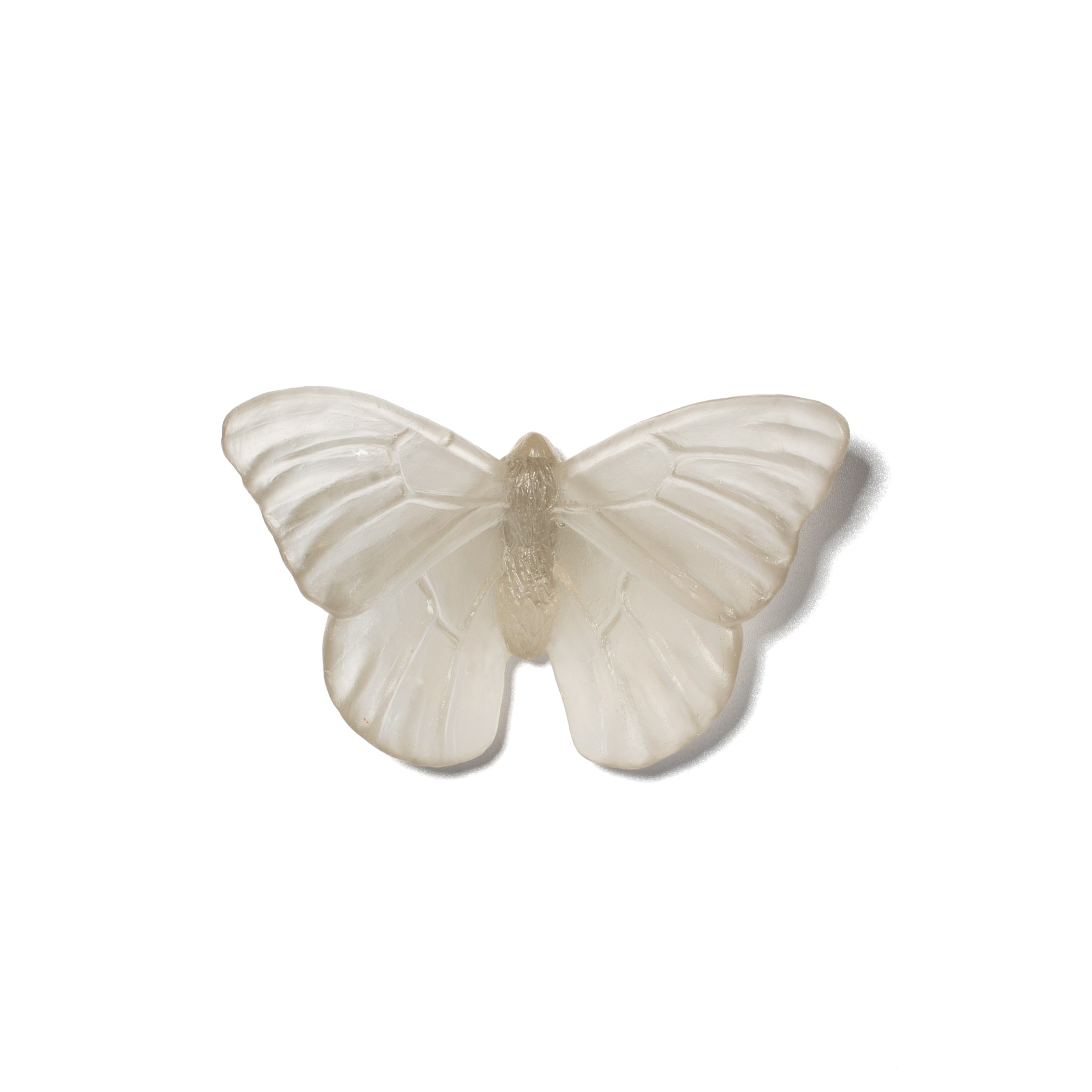 Admiral | Classic Mount Butterfly | Glass