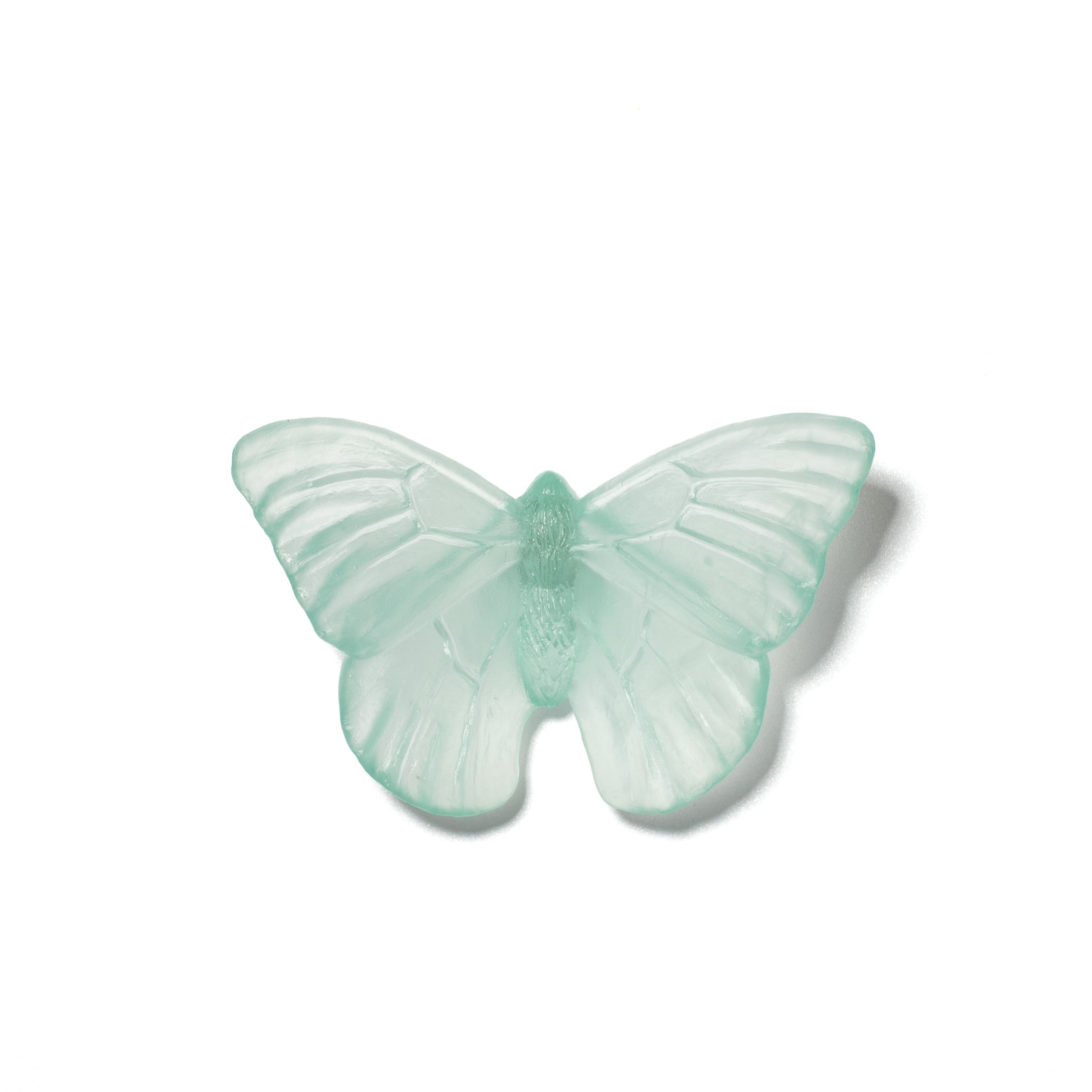 Admiral | Classic Mount Butterfly | Glass