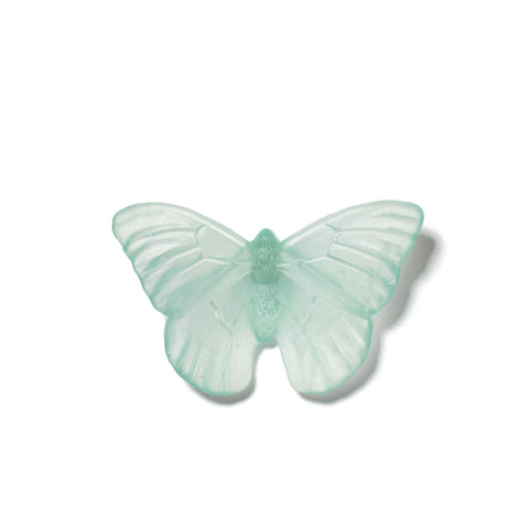 Admiral | Classic Mount Butterfly | Glass