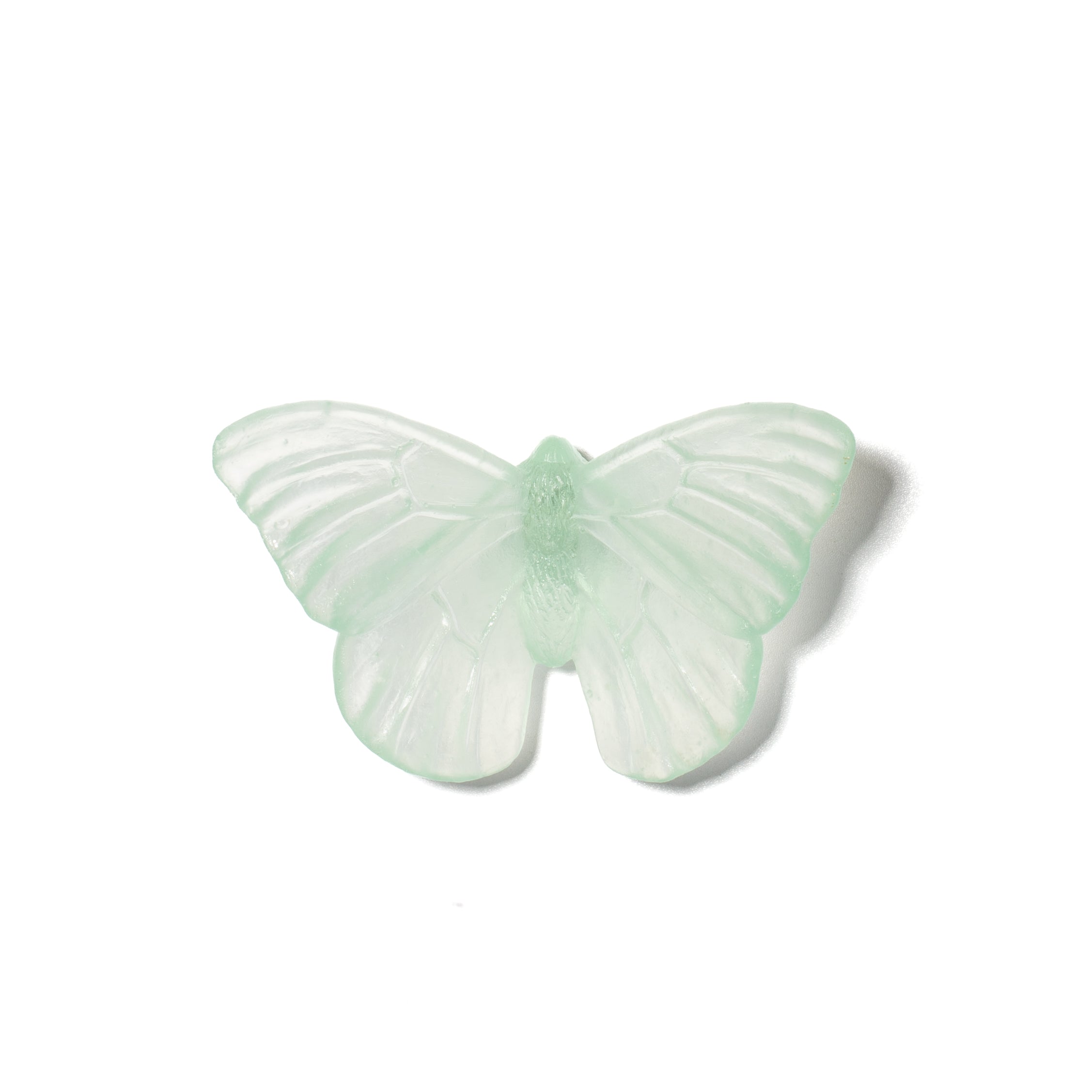 Admiral | Classic Mount Butterfly | Glass