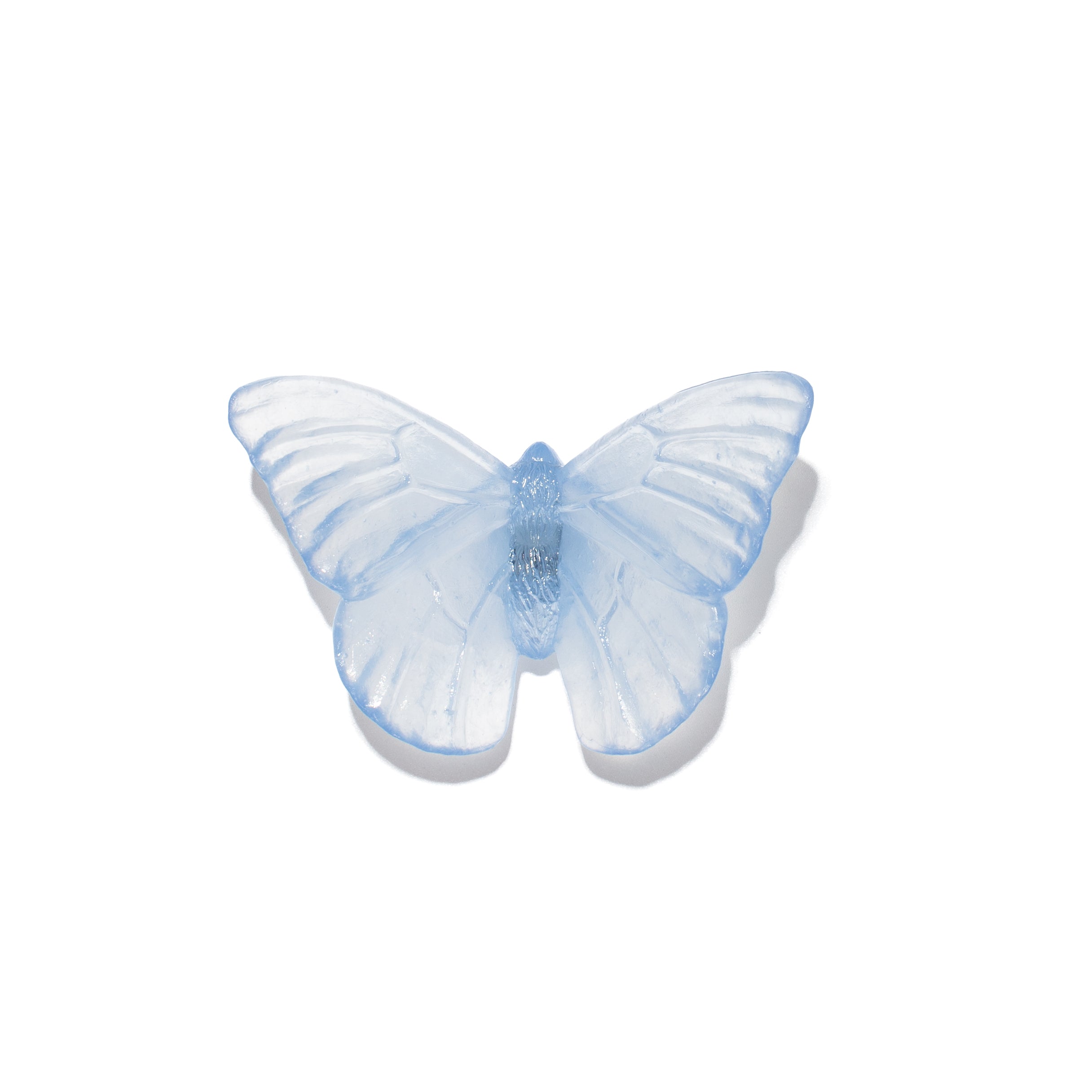 Admiral | Classic Mount Butterfly | Glass