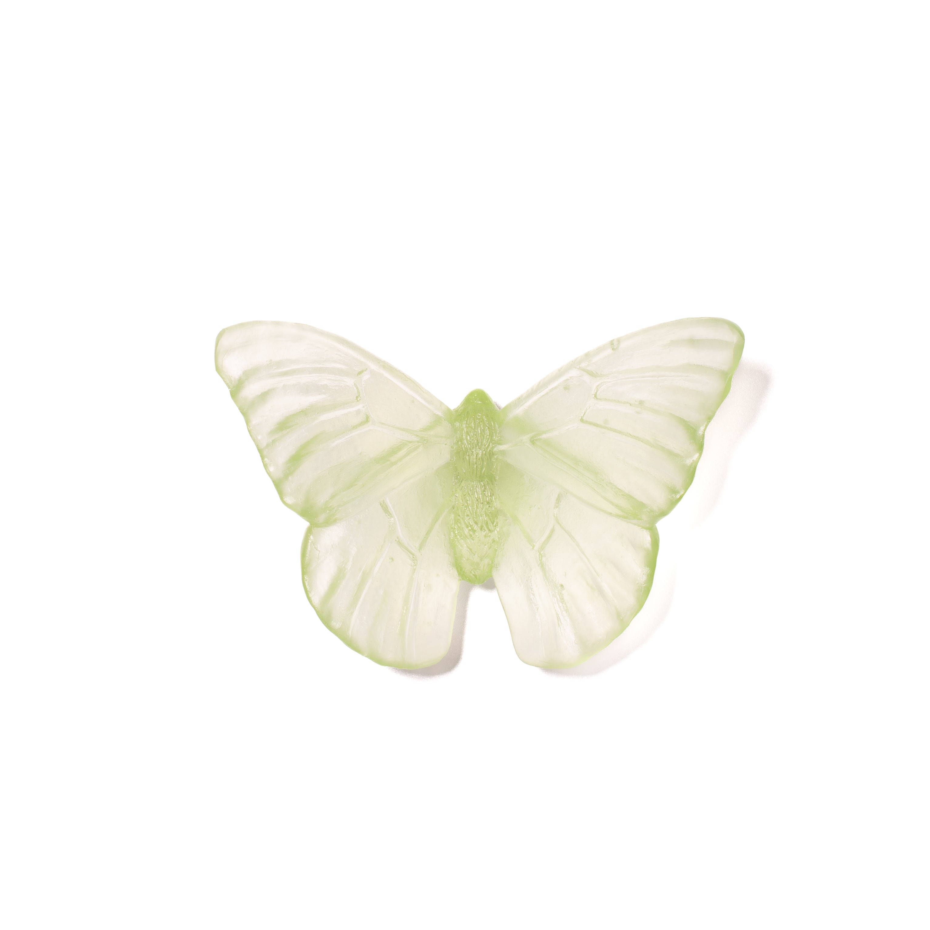 Admiral | Classic Mount Butterfly | Glass