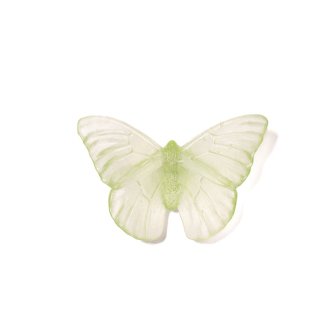 Admiral | Classic Mount Butterfly | Glass