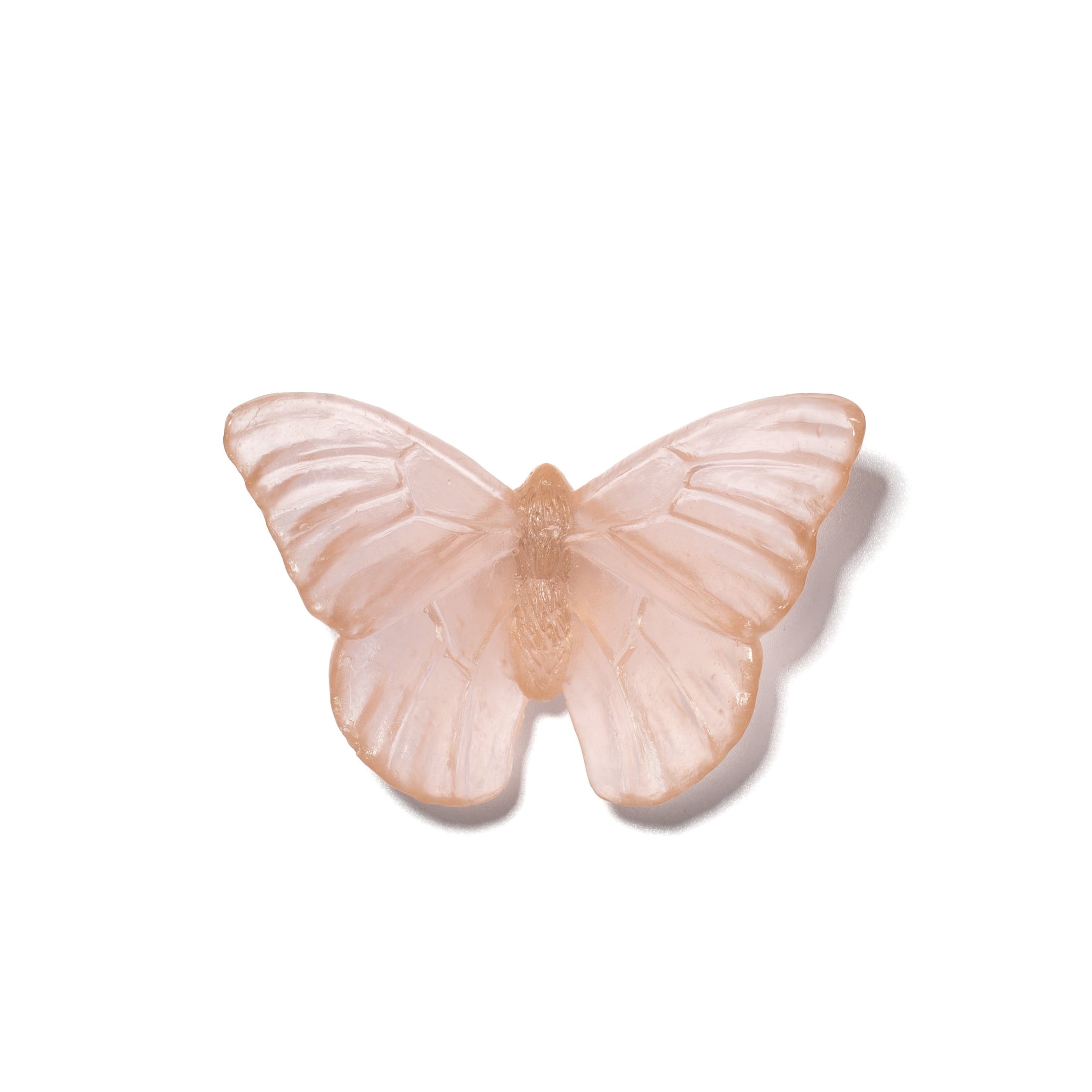 Admiral | Classic Mount Butterfly | Glass