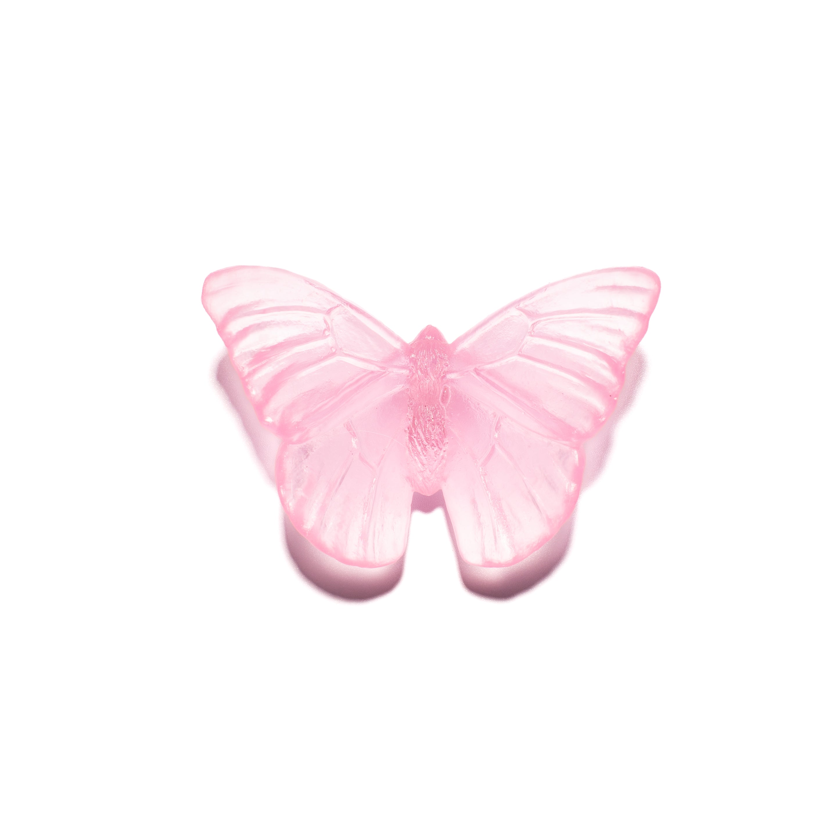 Admiral | Classic Mount Butterfly | Glass