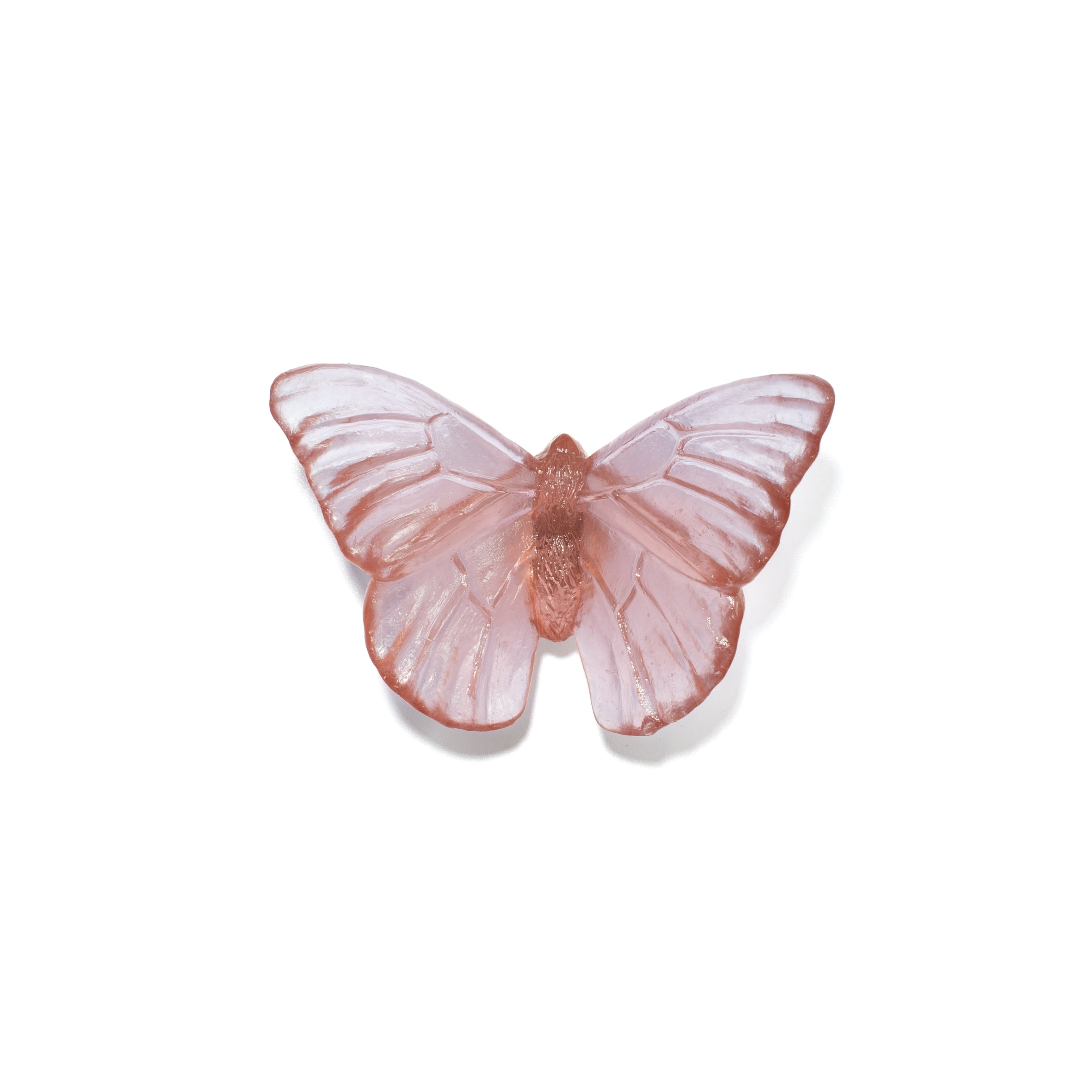 Admiral | Classic Mount Butterfly | Glass