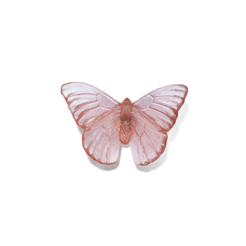 Admiral | Classic Mount Butterfly | Glass