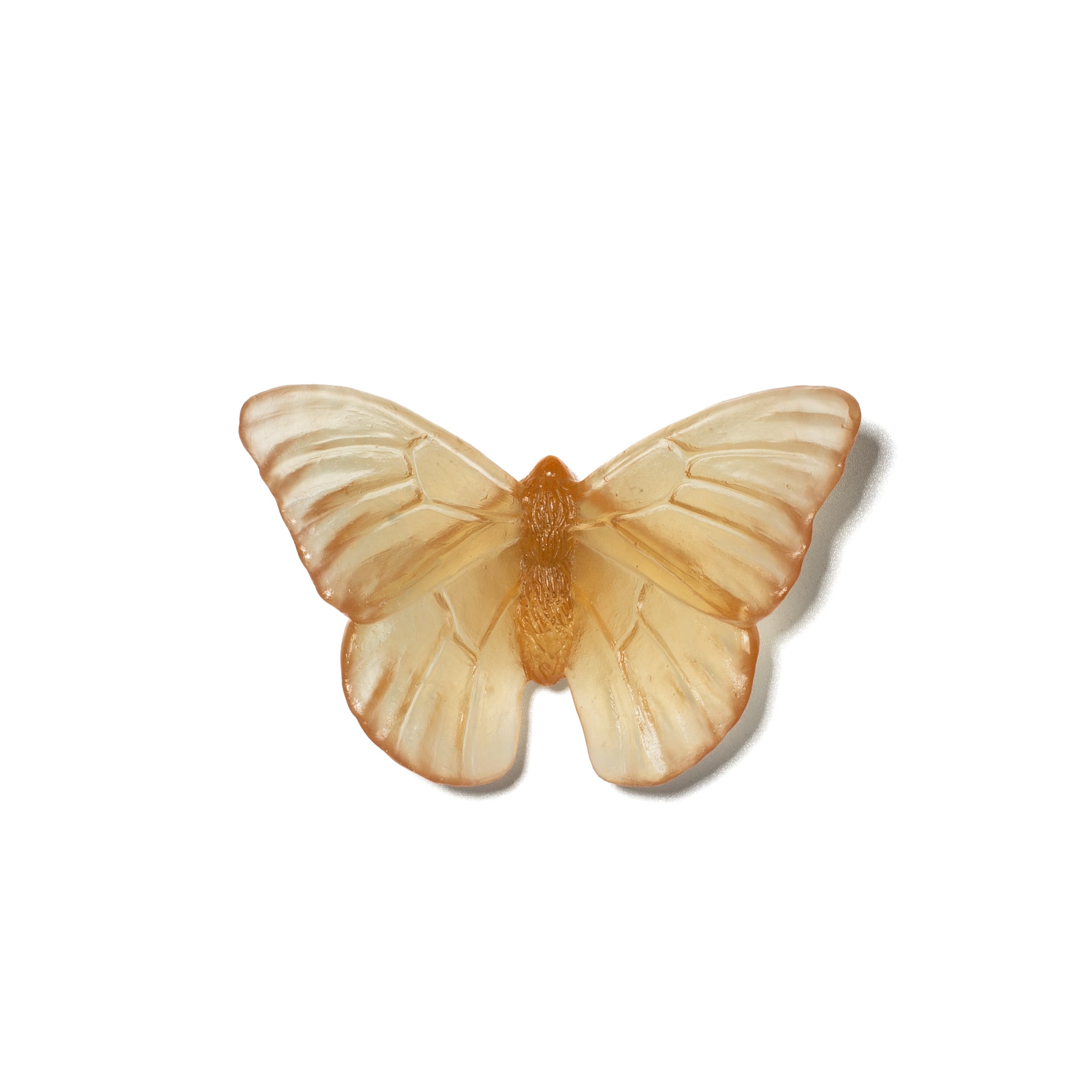 Admiral | Classic Mount Butterfly | Glass