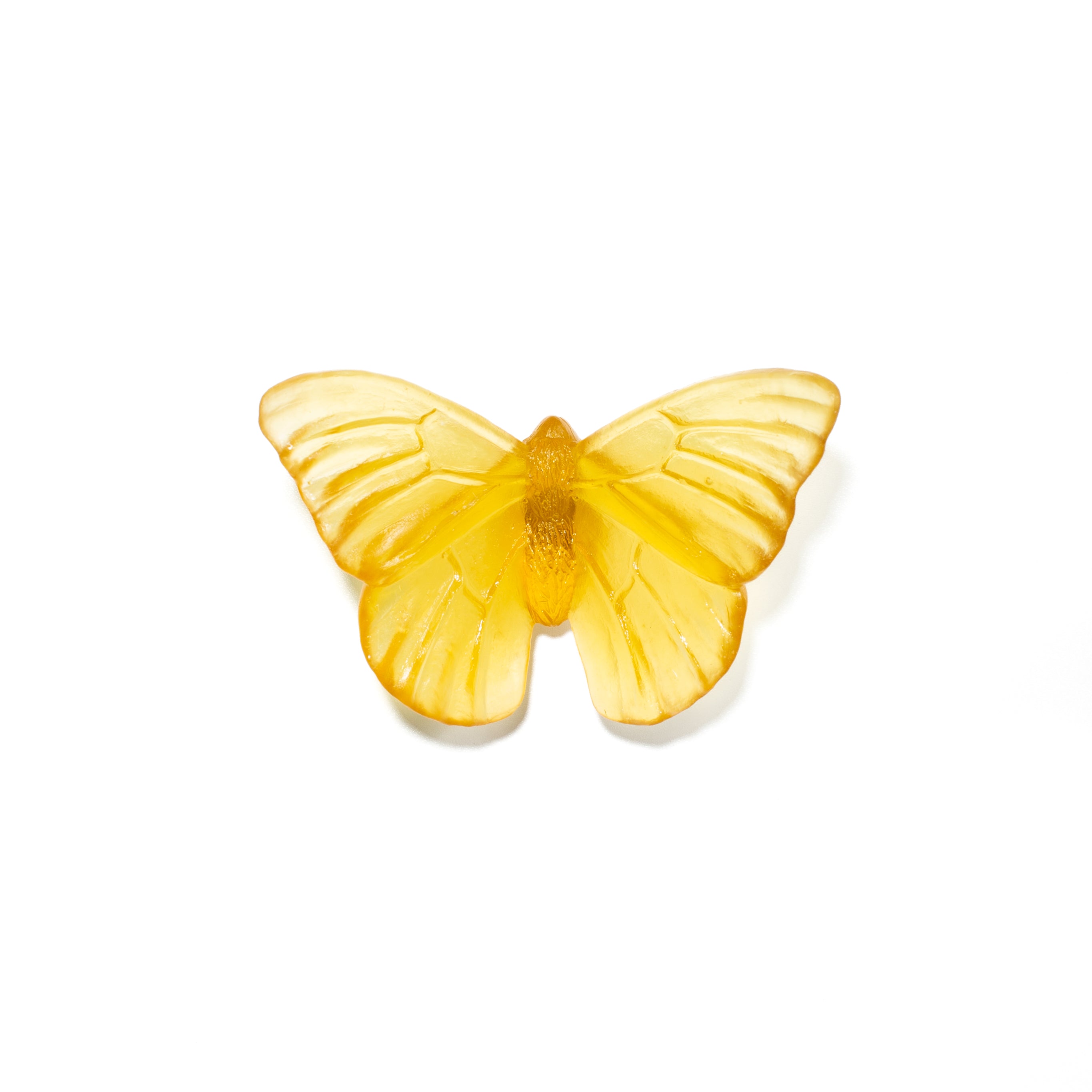 Admiral | Classic Mount Butterfly | Glass