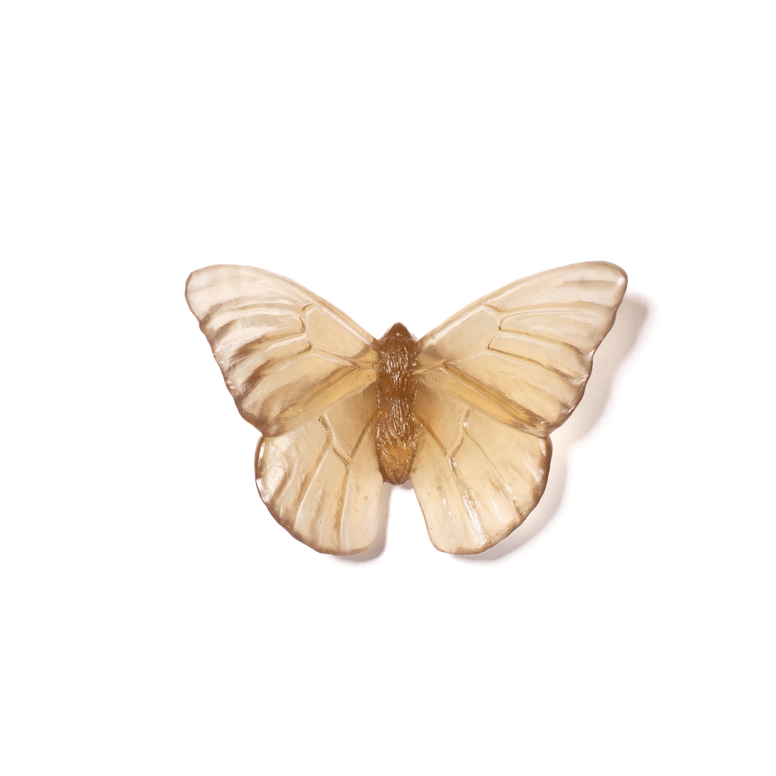 Admiral | Classic Mount Butterfly | Glass