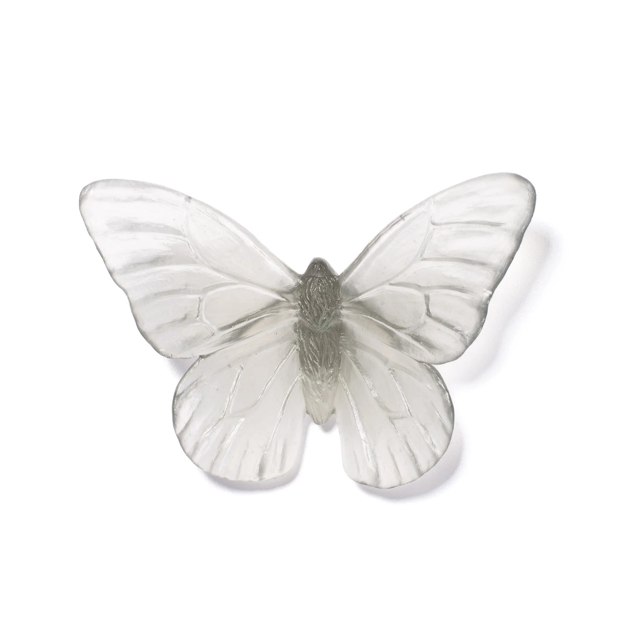 Monarch | Classic Mount Butterfly | Glass