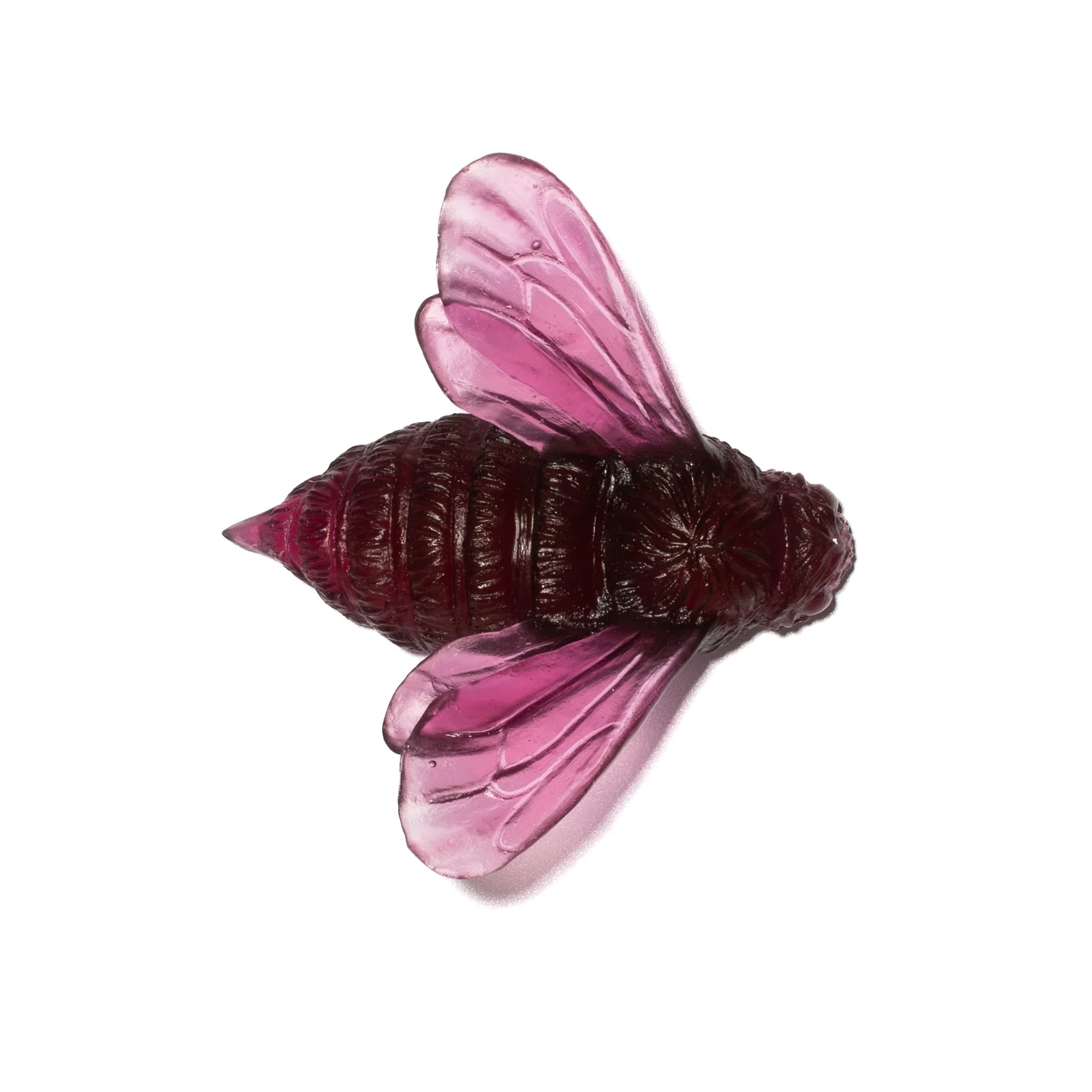 Bee Wings In | Glass