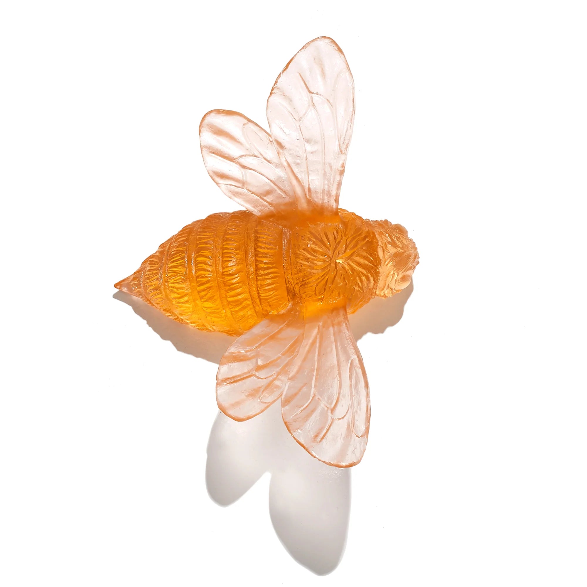 Bee Wings Out | Glass