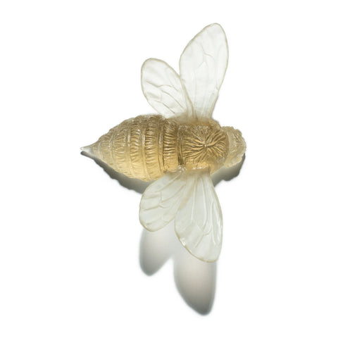 Bee Wings Out | Glass