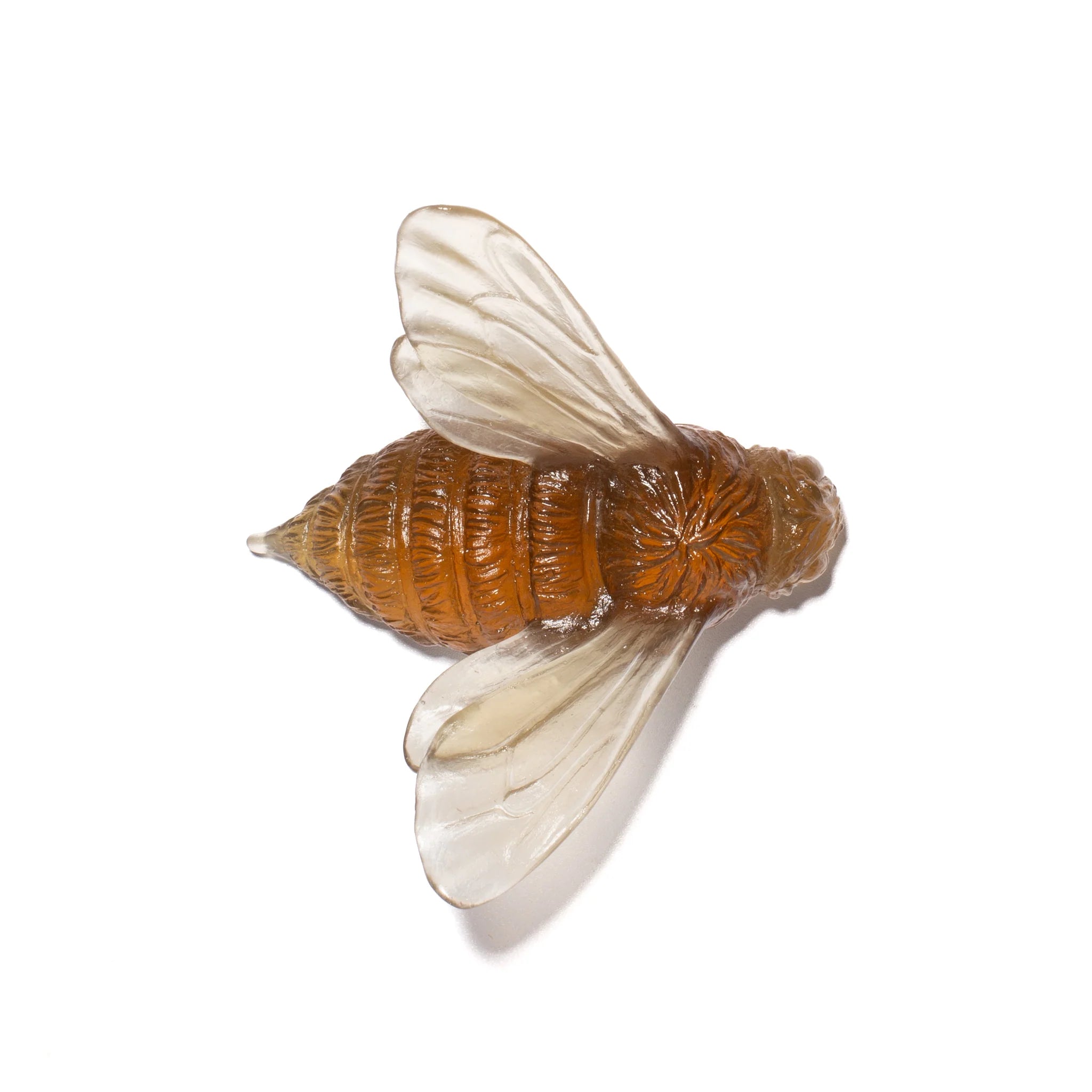 Bee Wings In | Glass