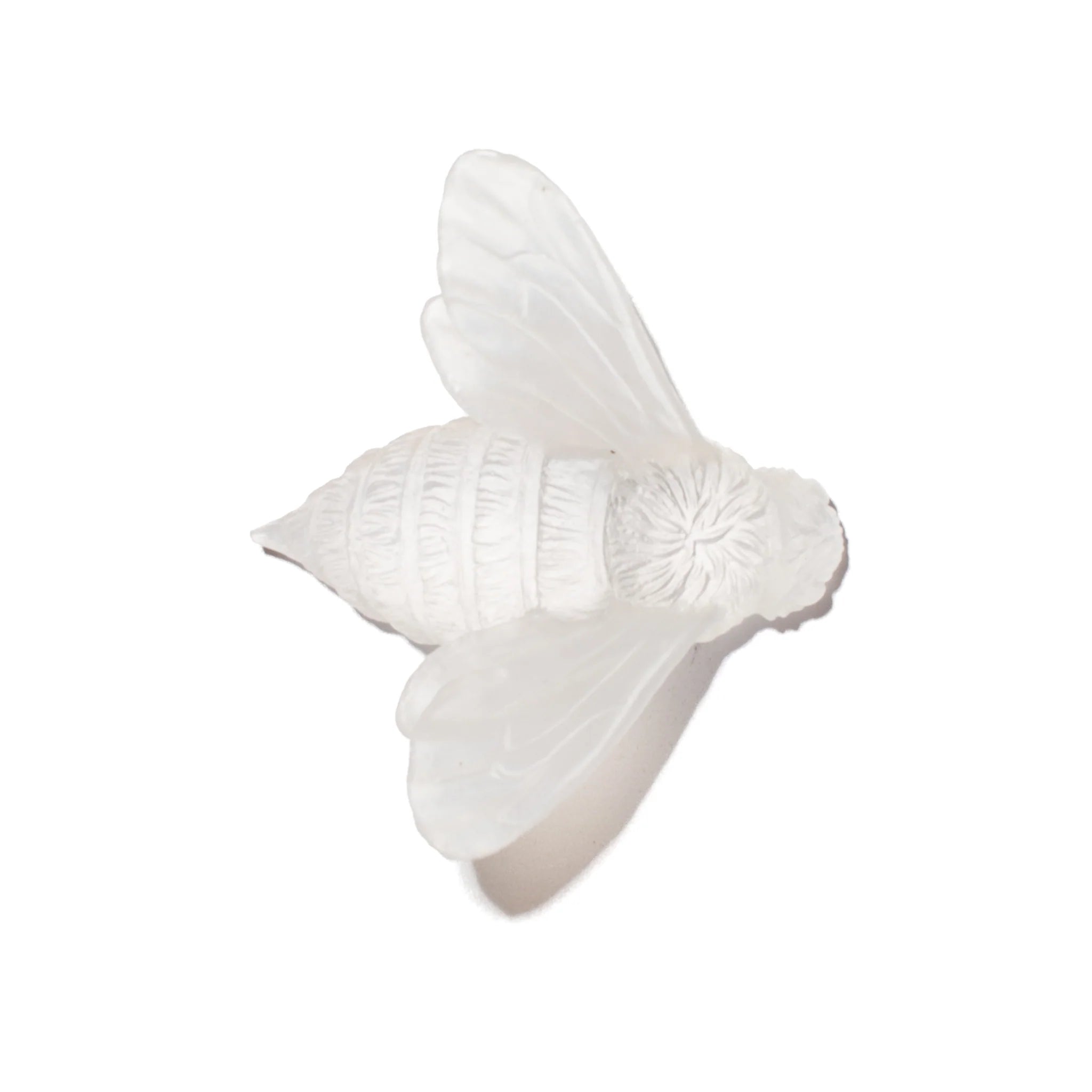 Bee Wings In | Glass