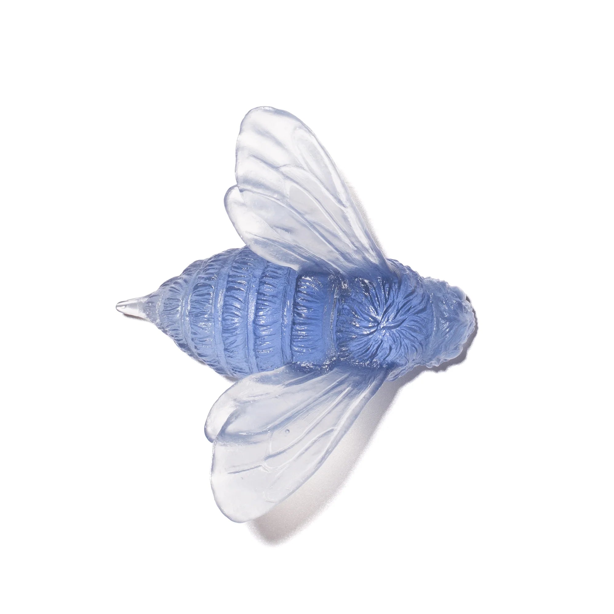 Bee Wings In | Glass