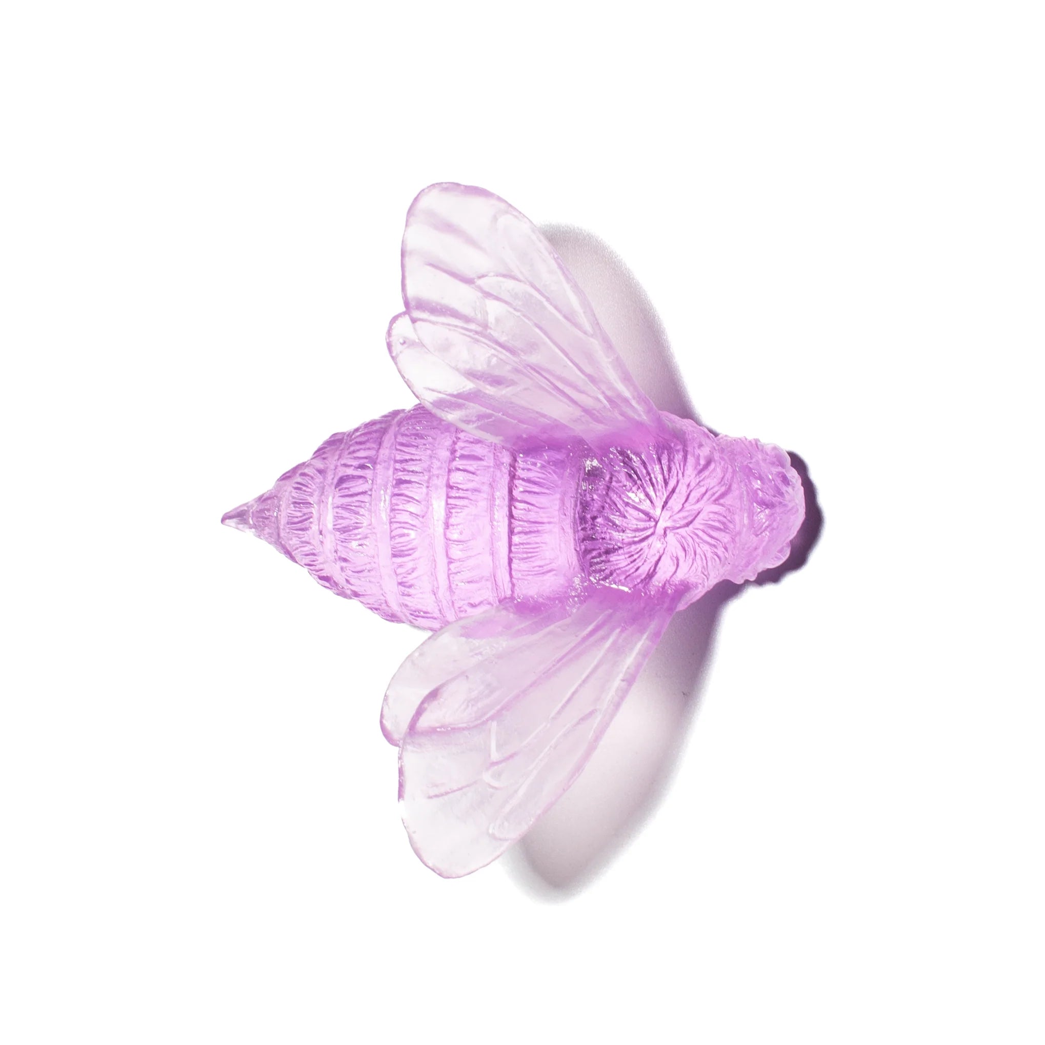 Bee Wings In | Glass