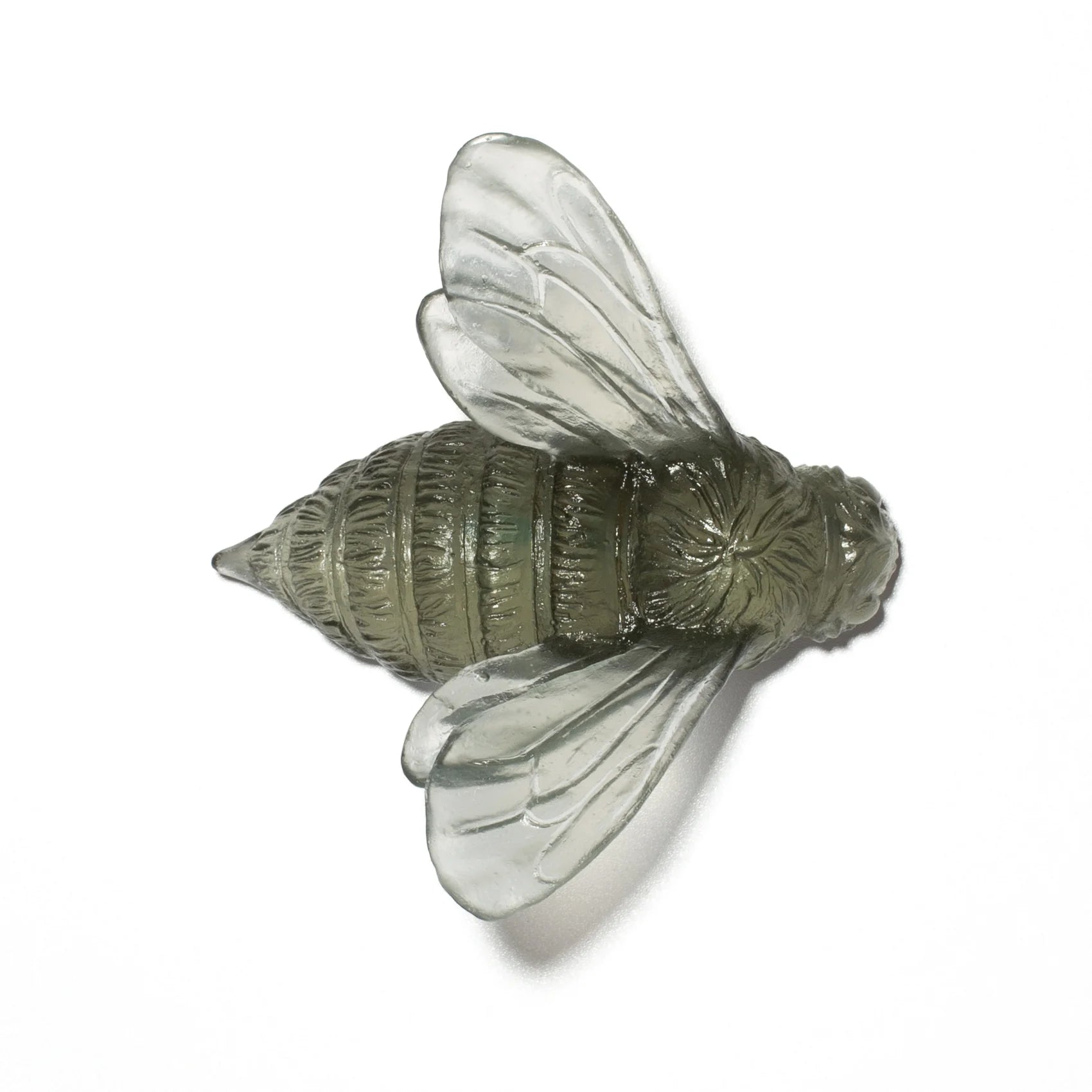 Bee Wings In | Glass