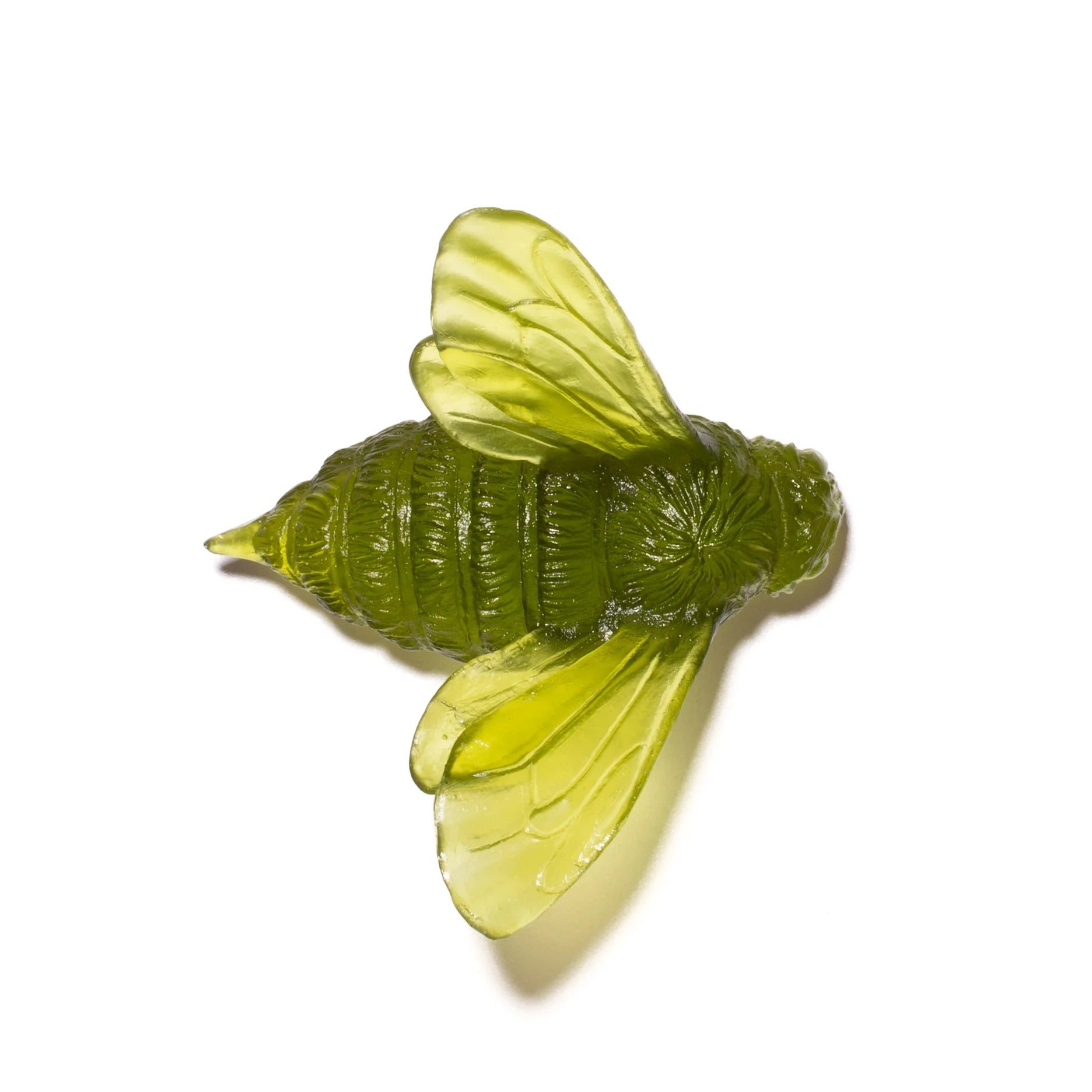 Bee Wings In | Glass