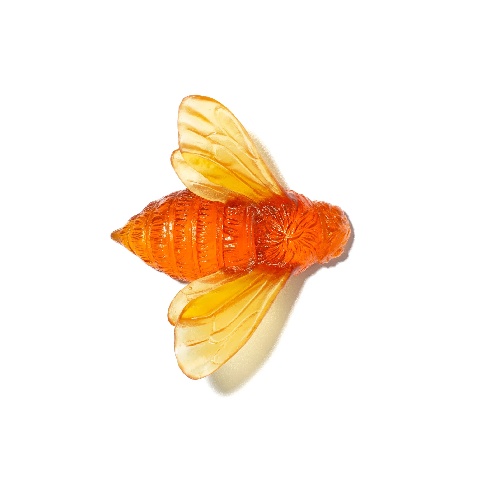 Bee Wings In | Glass