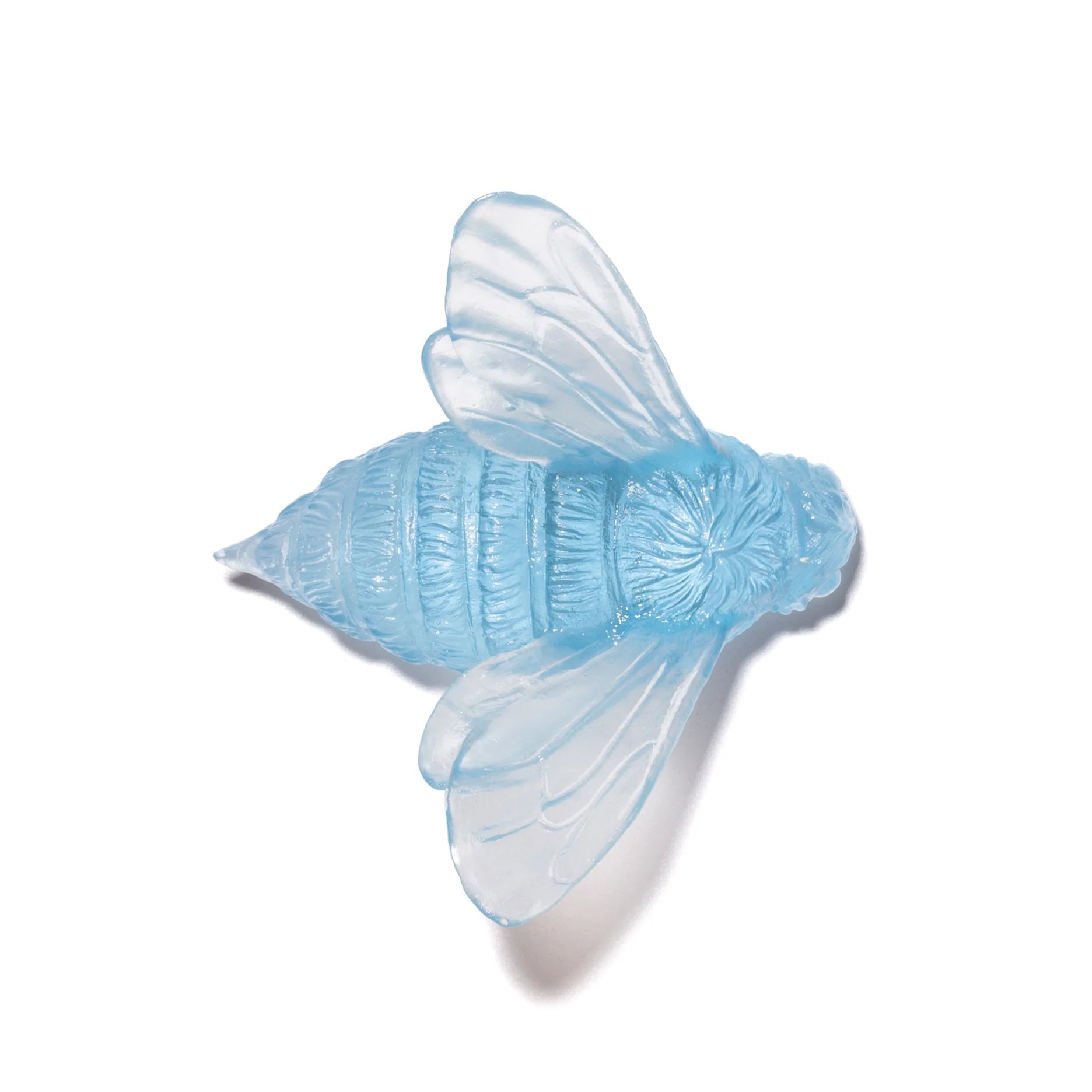 Bee Wings In | Glass