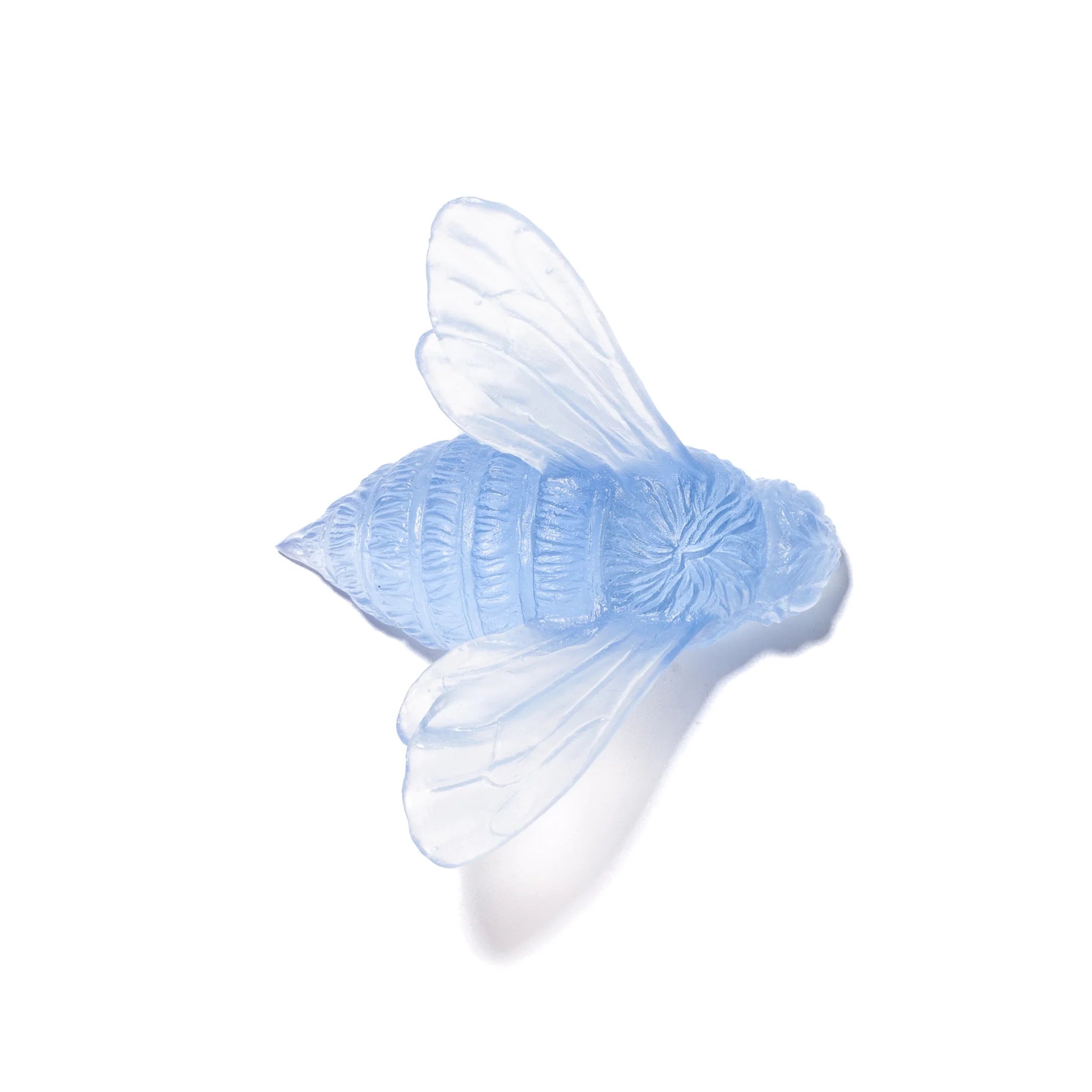 Bee Wings In | Glass