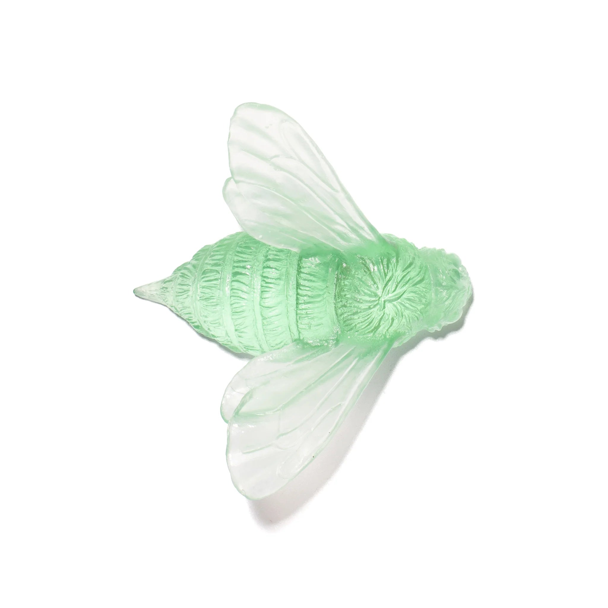 Bee Wings In | Glass
