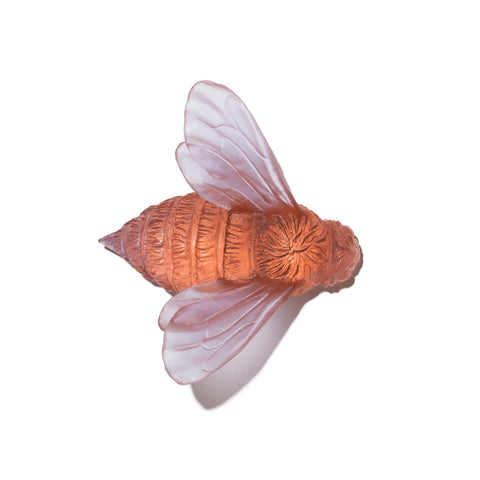 Bee Wings In | Glass