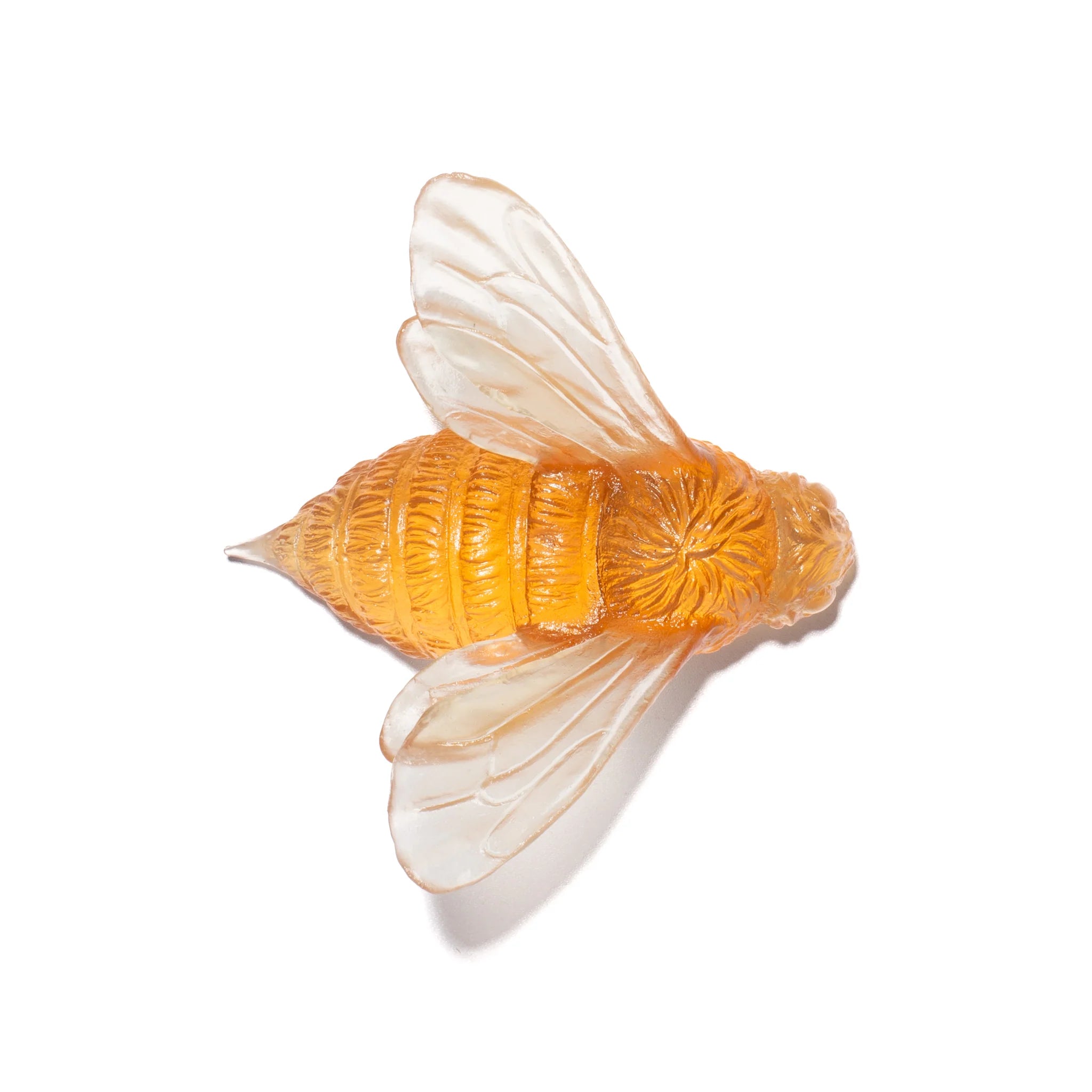 Bee Wings In | Glass