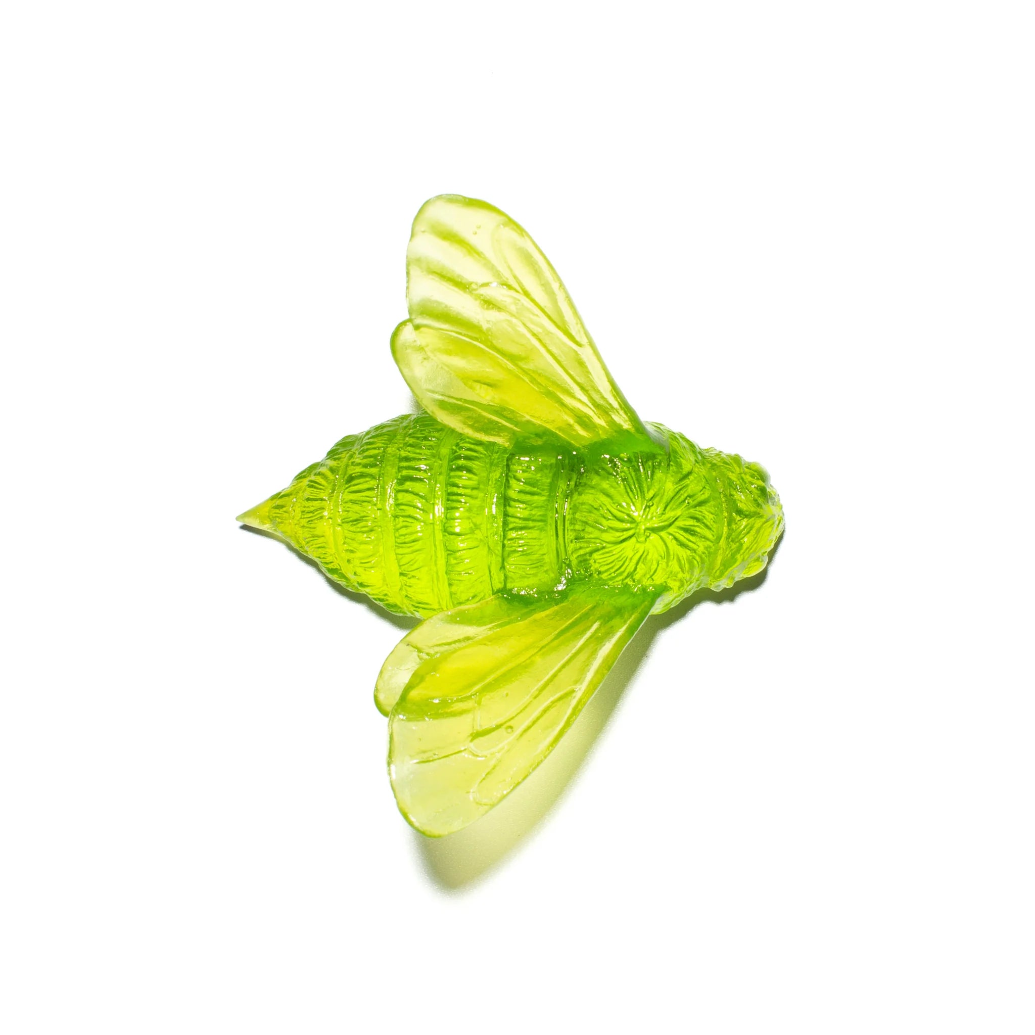 Bee Wings In | Glass